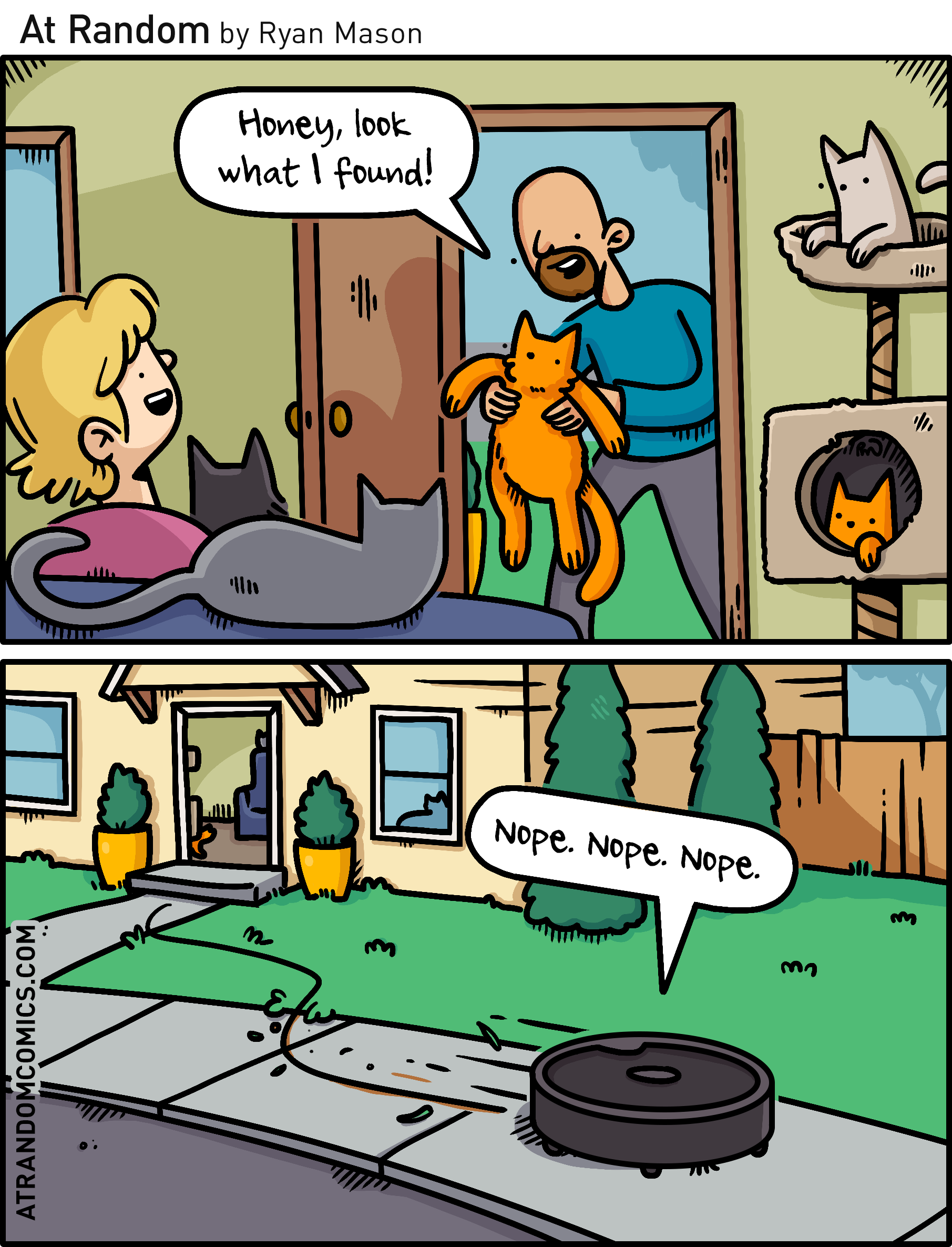 2026_04_Found_Cat.png