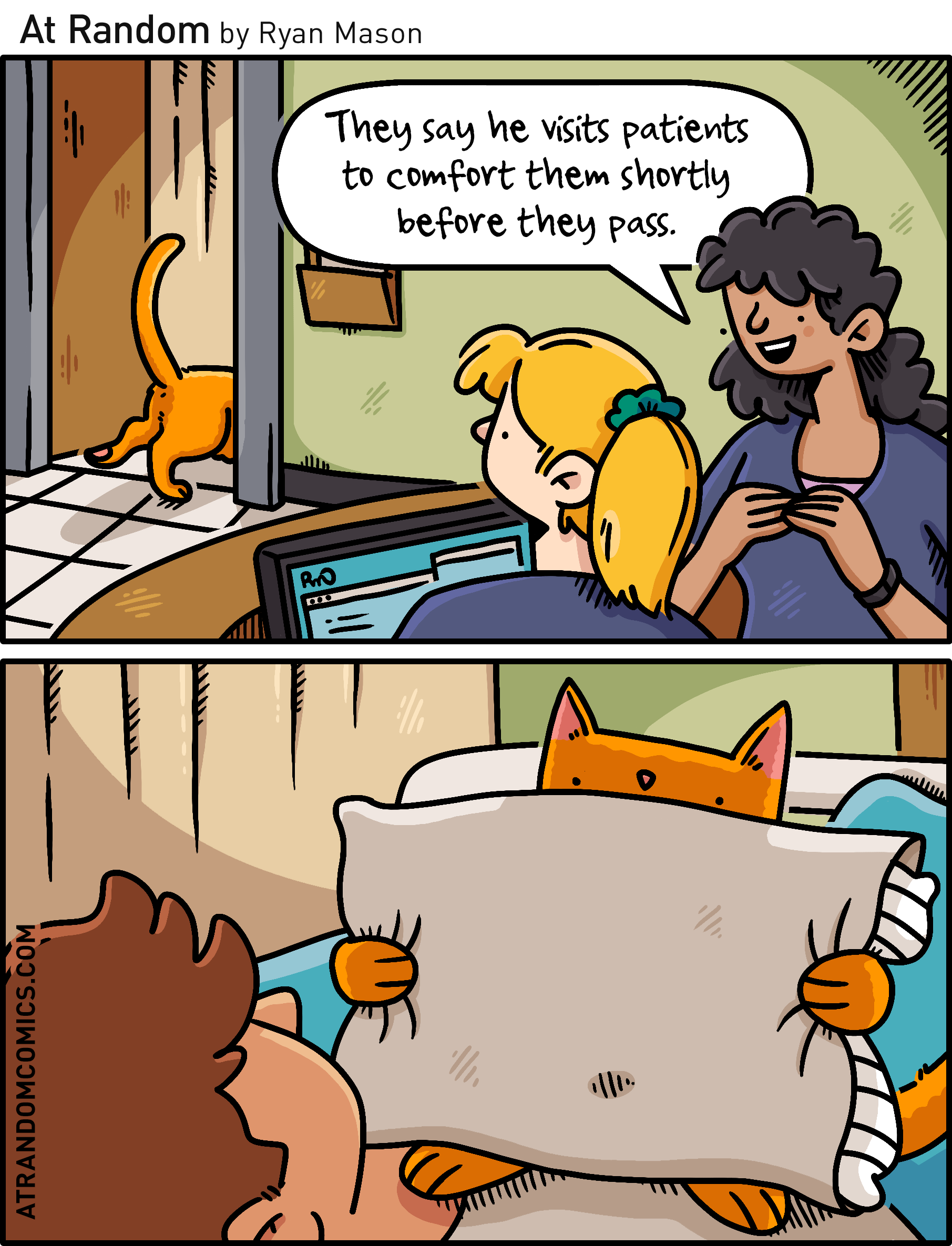 2026_07_Hospital_Cat.png