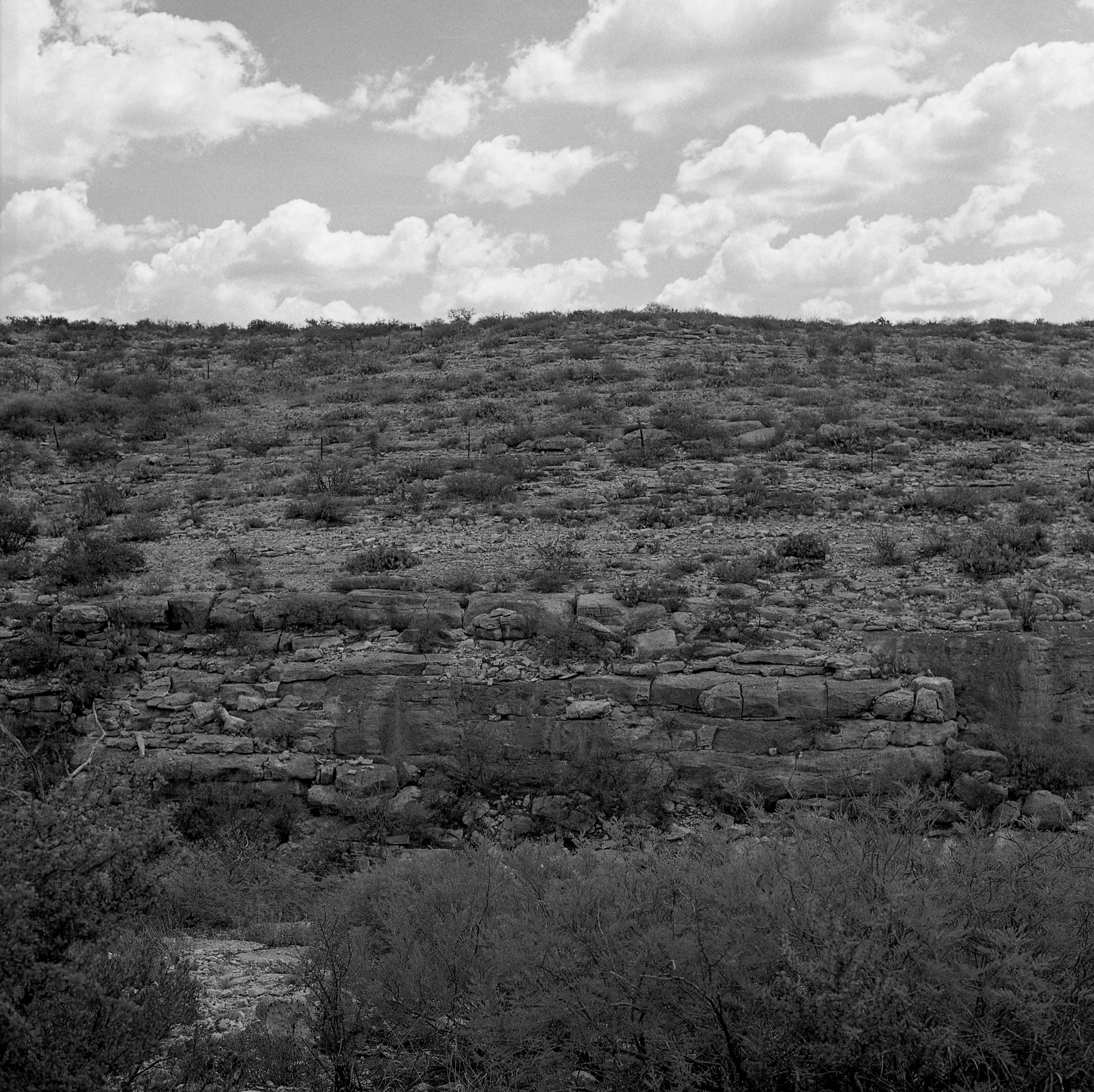 Into the West Resized (10 of 31).jpg