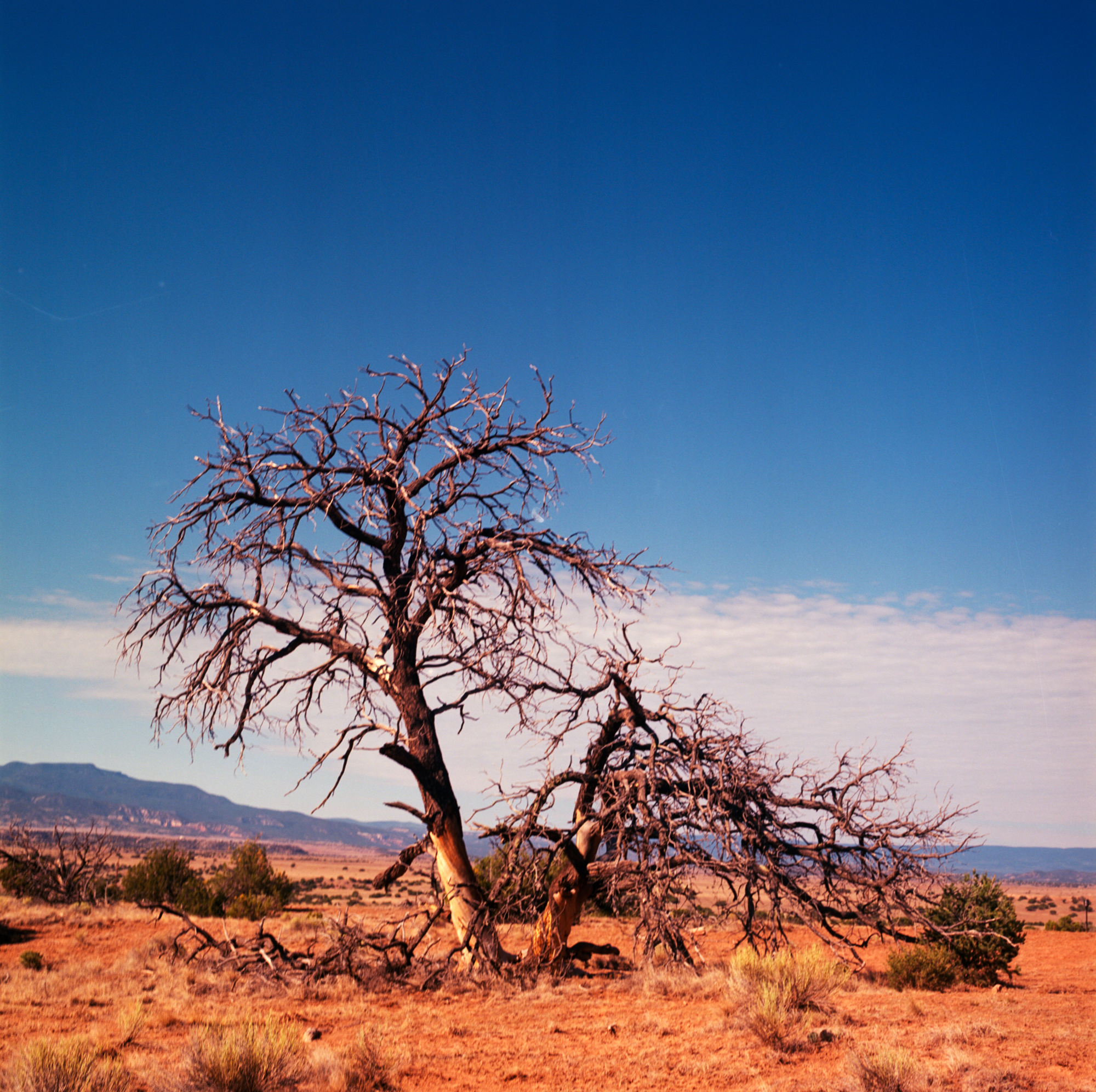 Ghost Ranch ektar 120 2018 (9 of 12).jpg