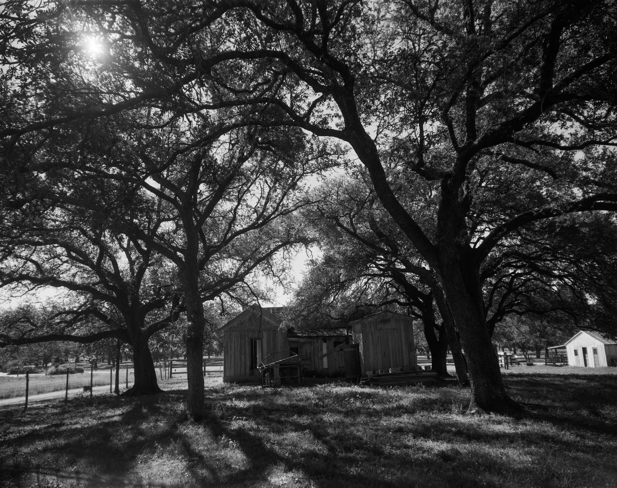 Georgetown TX Berry Springs Oct 2017 LF final (2 of 1).jpg