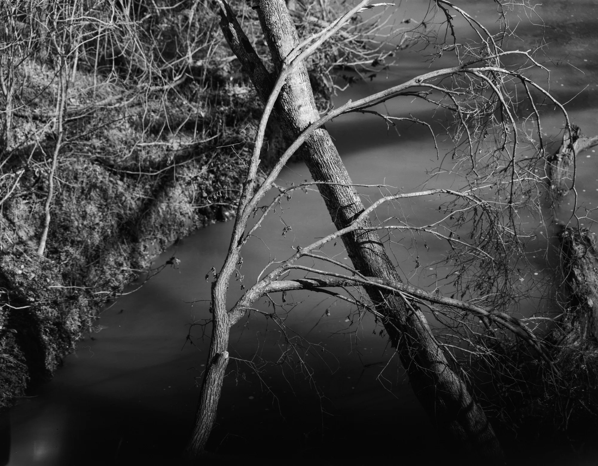 2017 4x5s resized (1 of 5).jpg