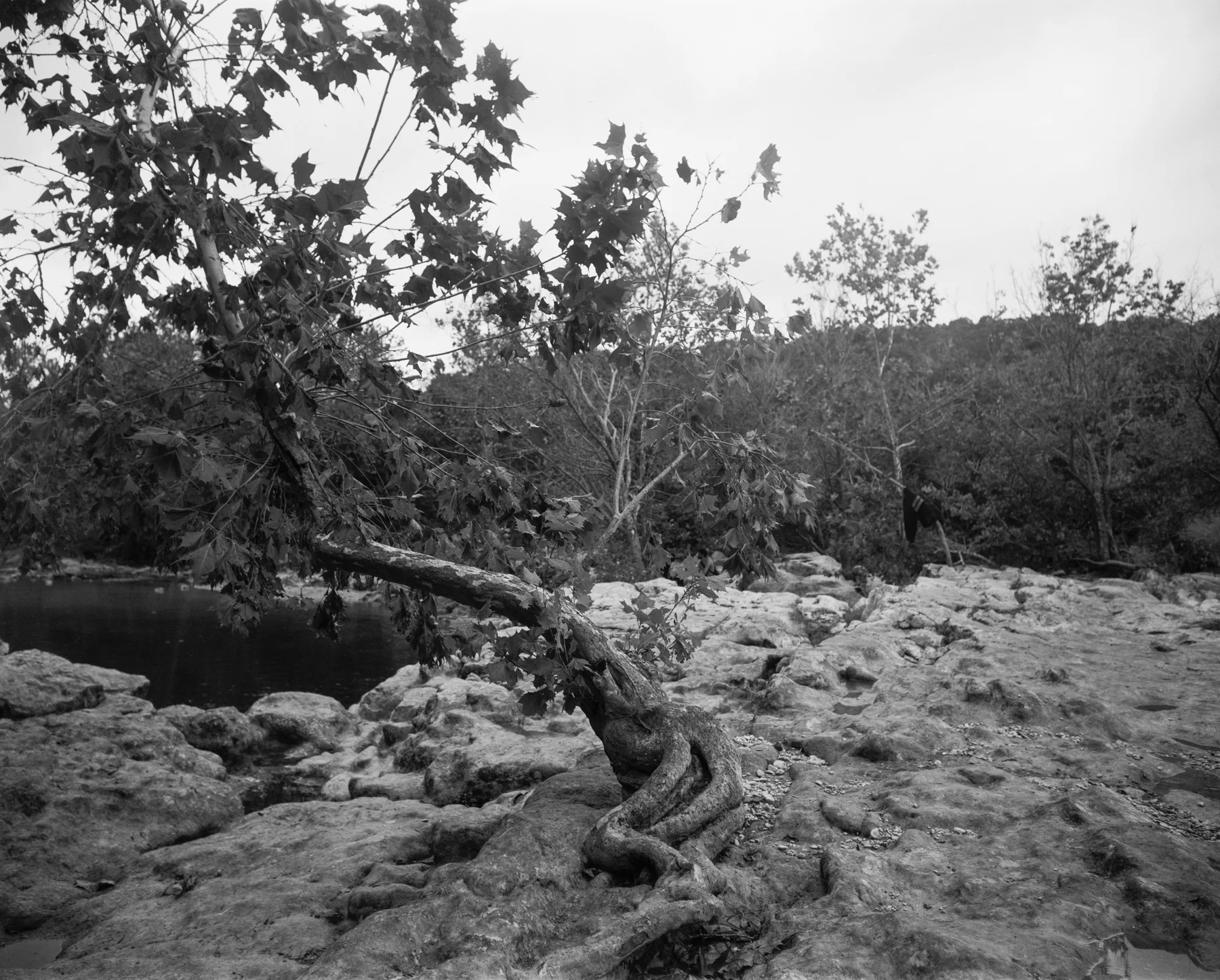 twin falls nov 2016 sm (1 of 8).jpg