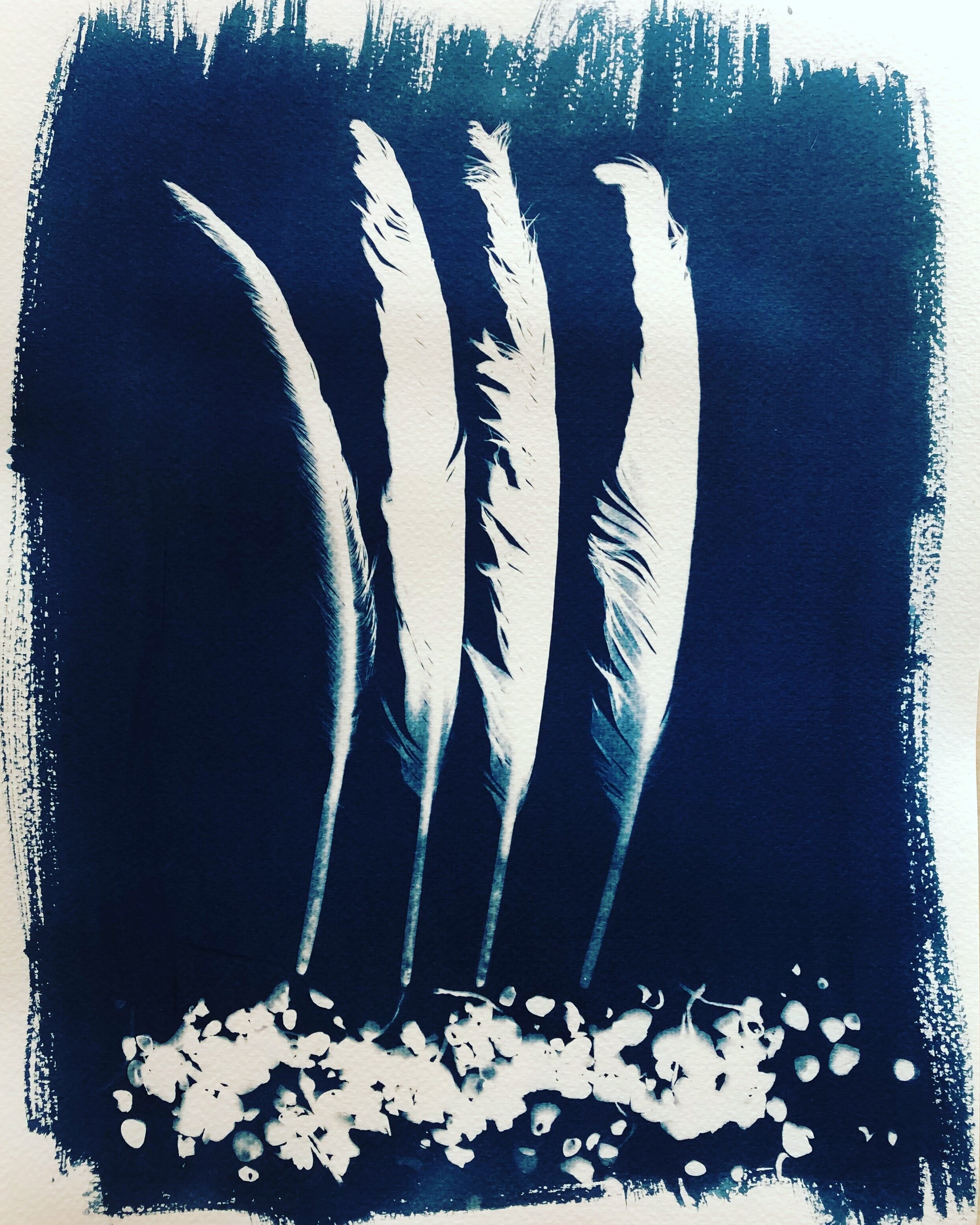 Salt water cyanotypes — TexasGirl Photography