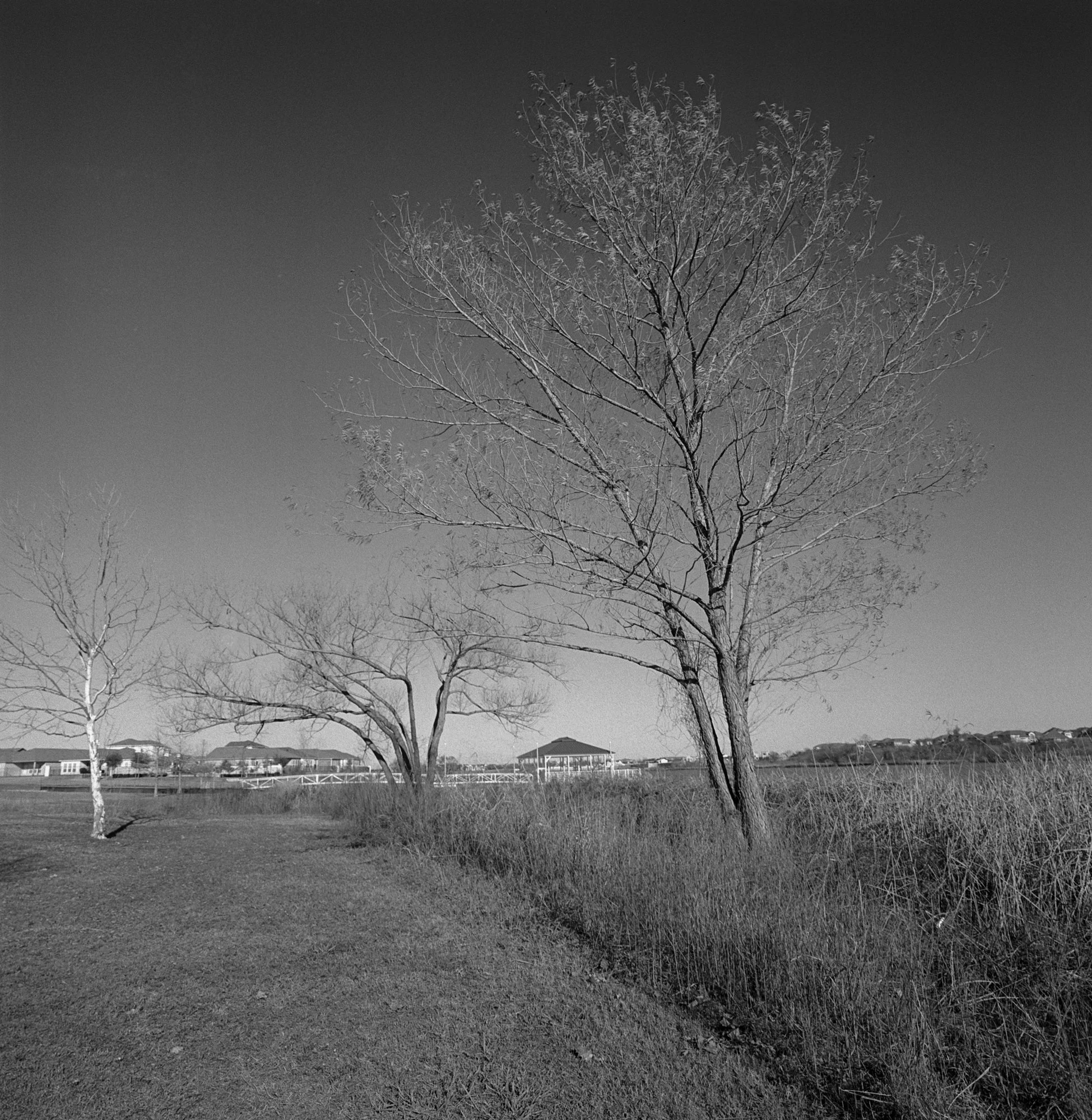 SWC trix test roll Dec 23 29th and 31st (4 of 11).jpg