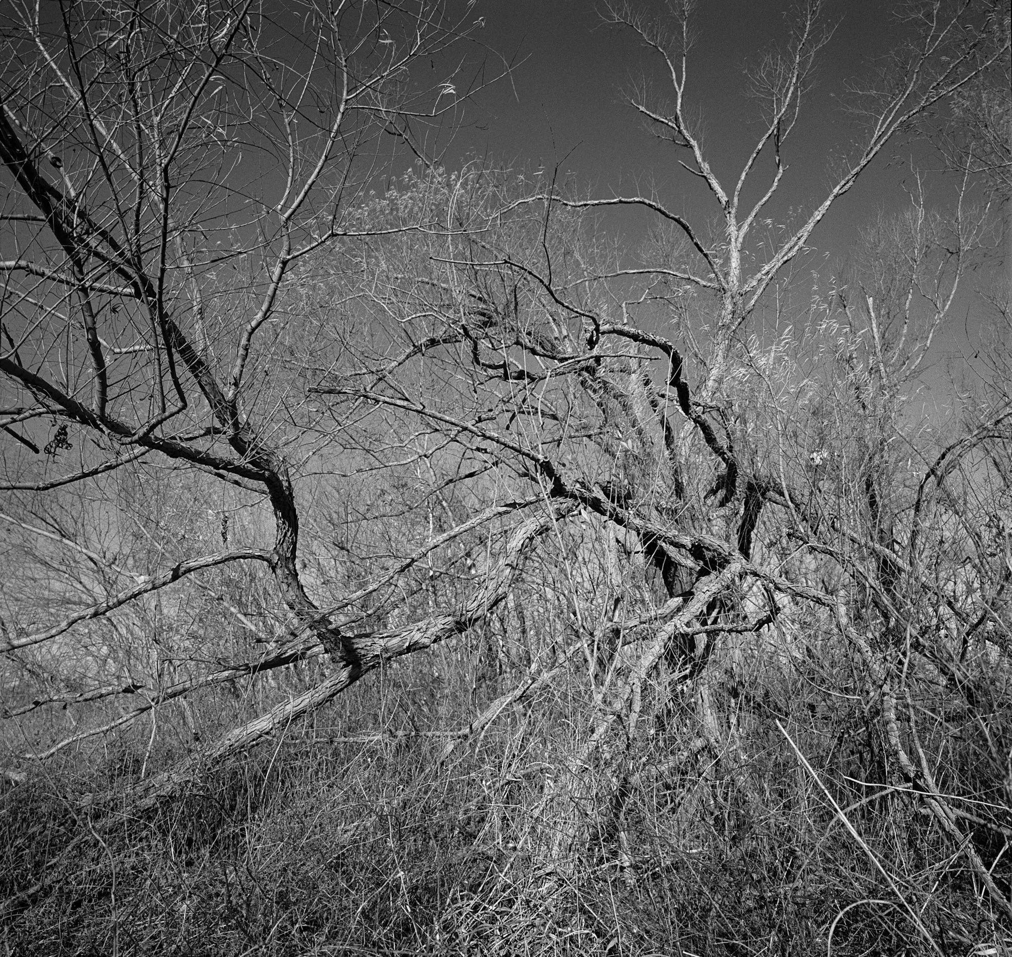 SWC trix test roll Dec 23 29th and 31st (7 of 11).jpg