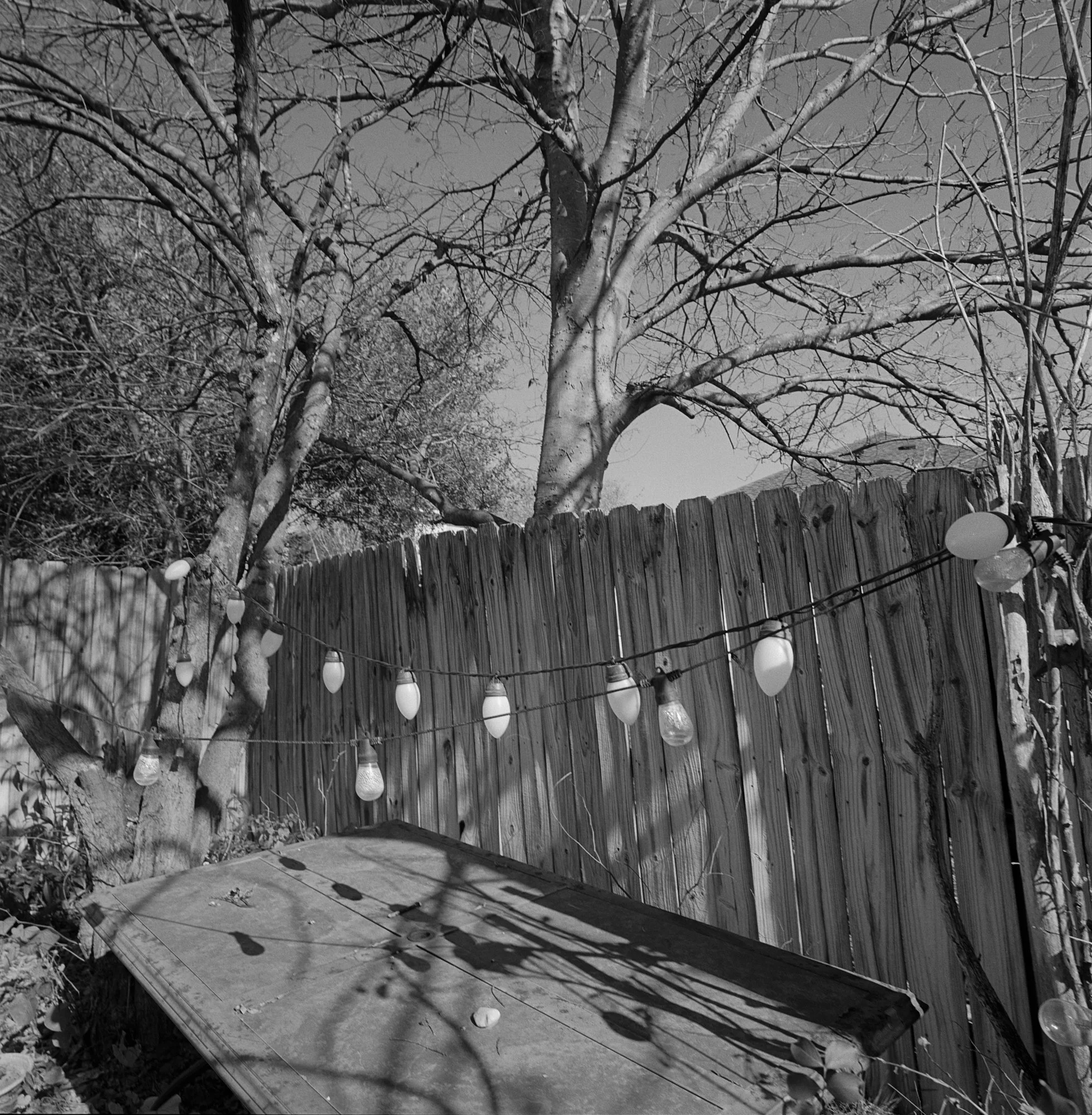 SWC trix test roll Dec 23 NYE (1 of 12).jpg