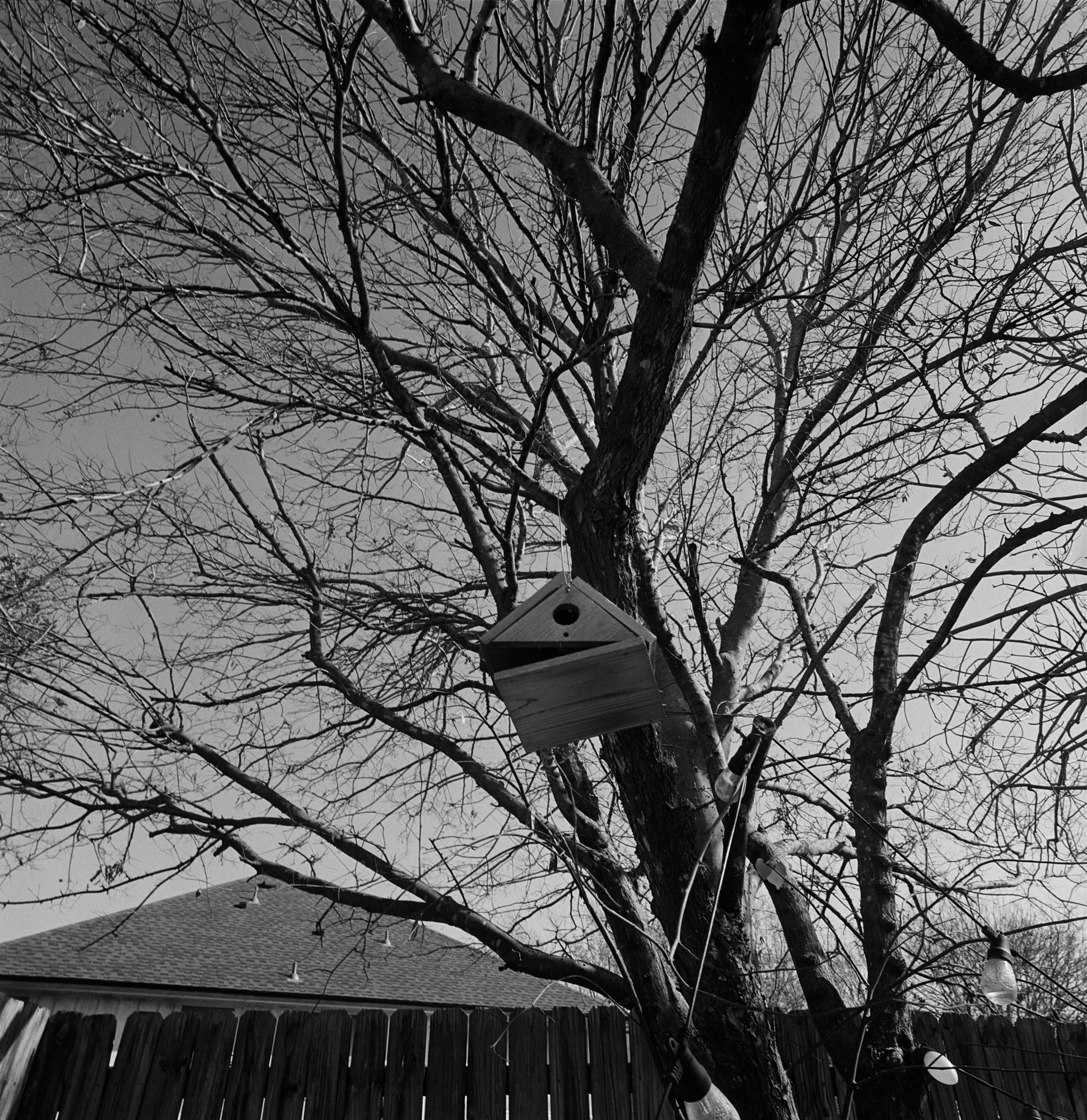 SWC trix test roll Dec 23 NYE (5 of 12).jpg