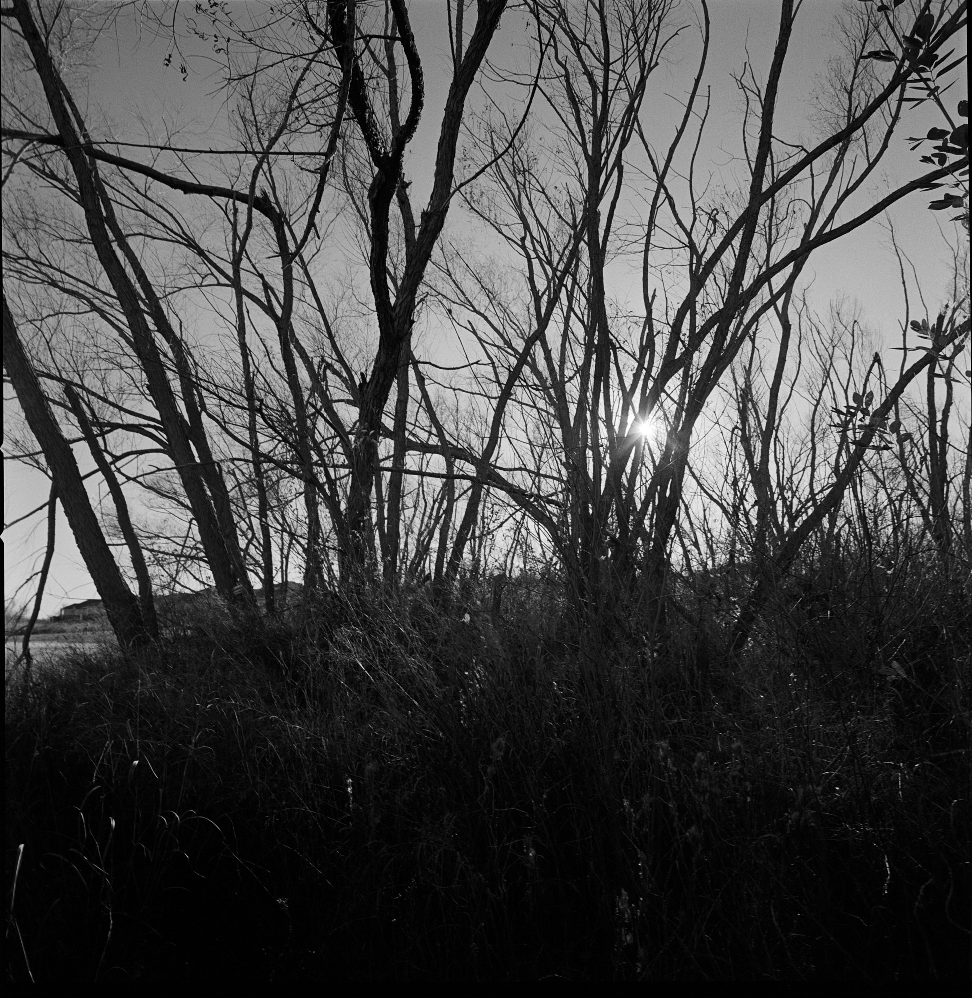 SWC trix test roll Dec 23 NYE (7 of 12).jpg