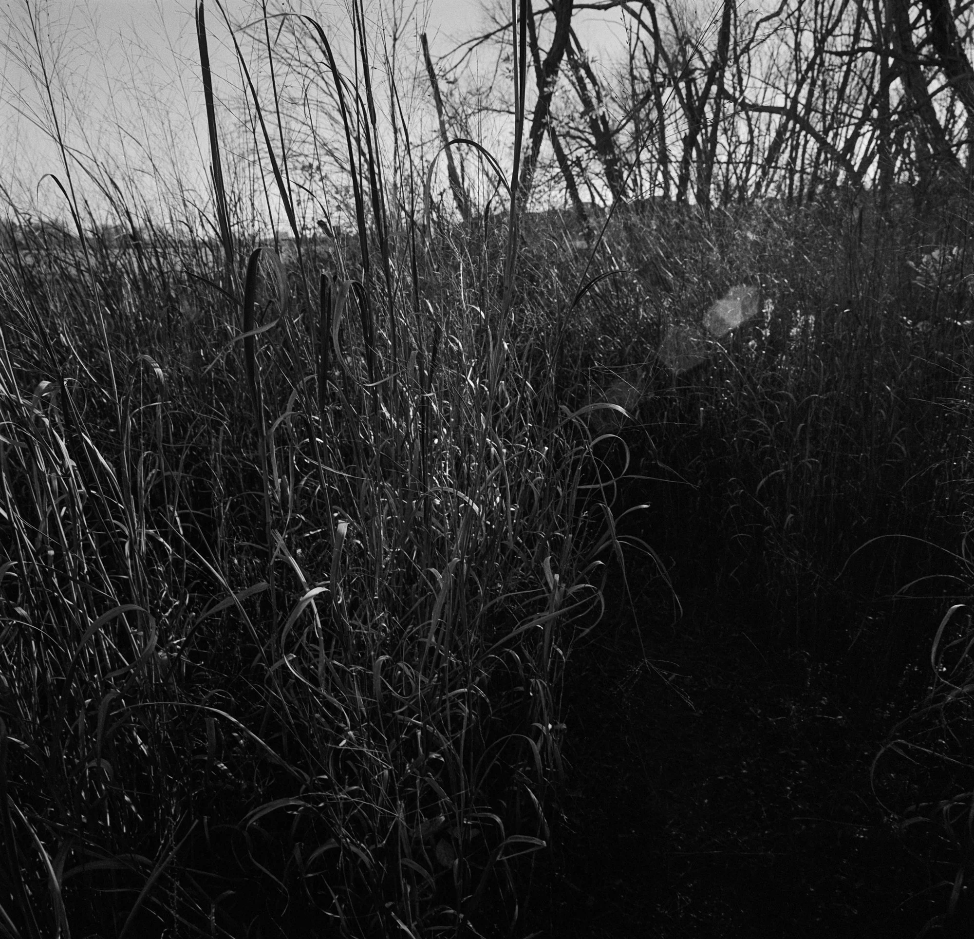 SWC trix test roll Dec 23 NYE (10 of 12).jpg
