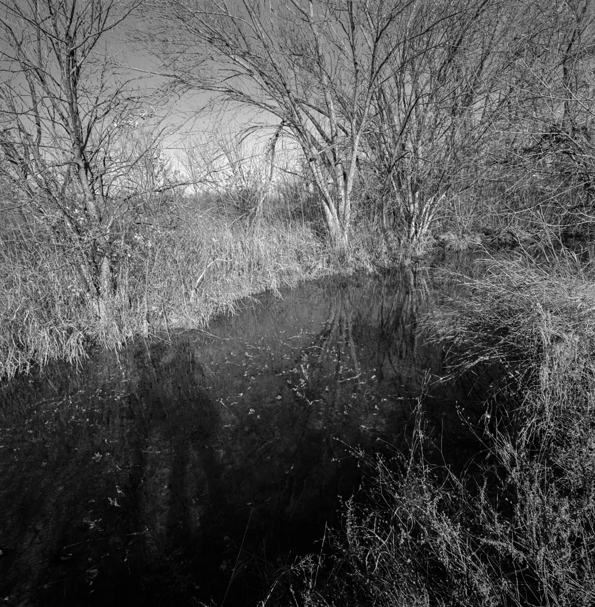 SWC trix test roll Dec 23 NYE (11 of 12).jpg
