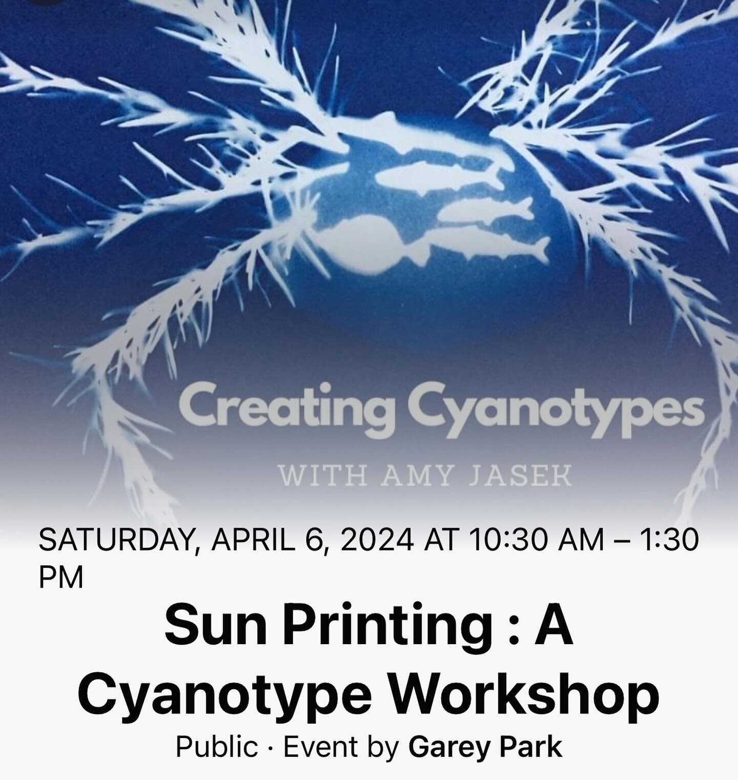I&rsquo;m leading a #cyanotype #workshop on Saturday, April 6th at the glorious @gareyparkgtx ! Crossing my fingers we will have some wildflowers and plenty of sunshine that morning. Details are in the second photo, please swipe to see it. I&rsquo;ve