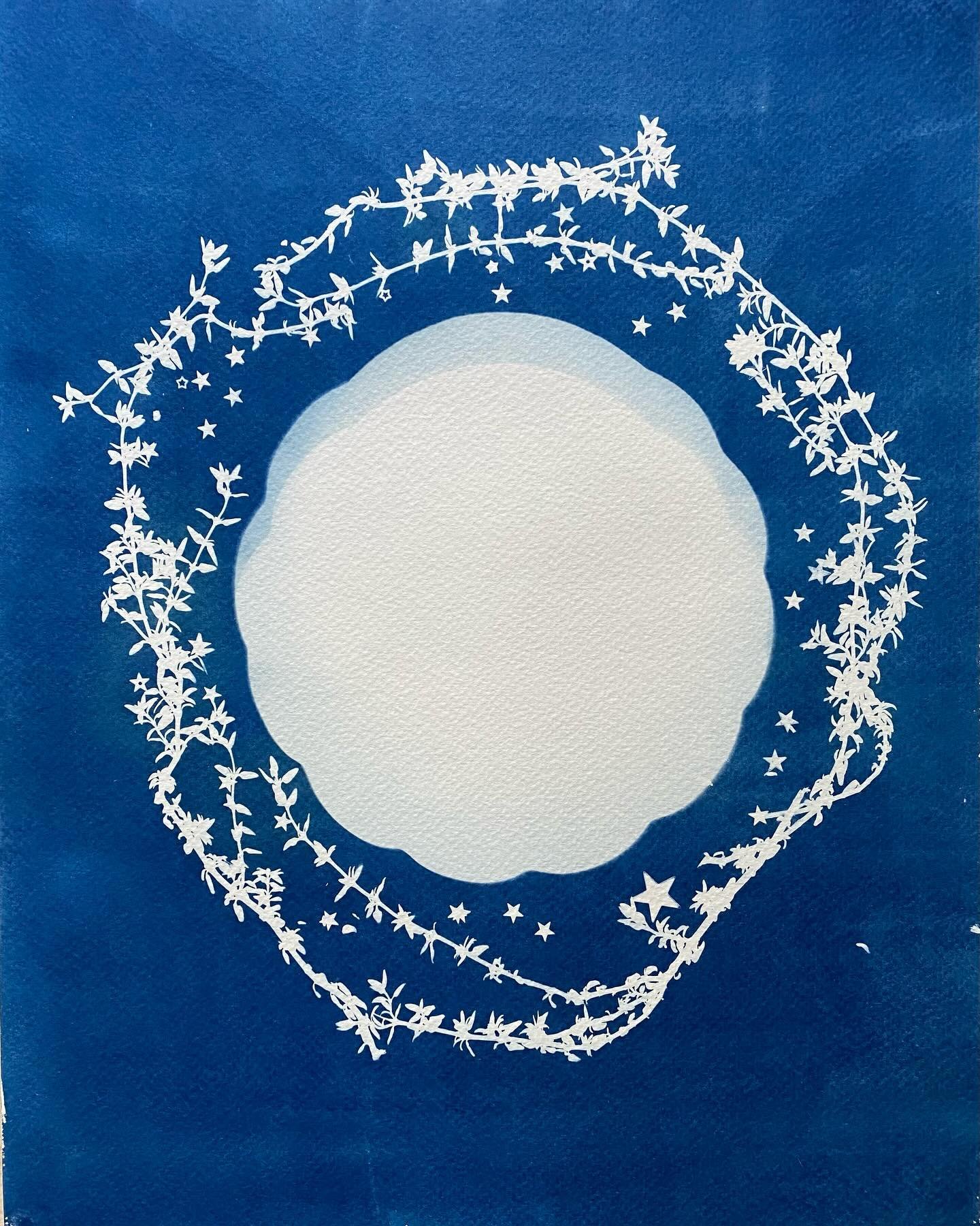 Throwback to some #cyanotypes I made during Oct &lsquo;23&rsquo;s annual eclipse. I might try one today even with the clouds&hellip;.

//
#sun #sunprint #printmaking #cyanotype #photogram #light #eclipse #annularsolareclipse #worldcyanotypeday #texas