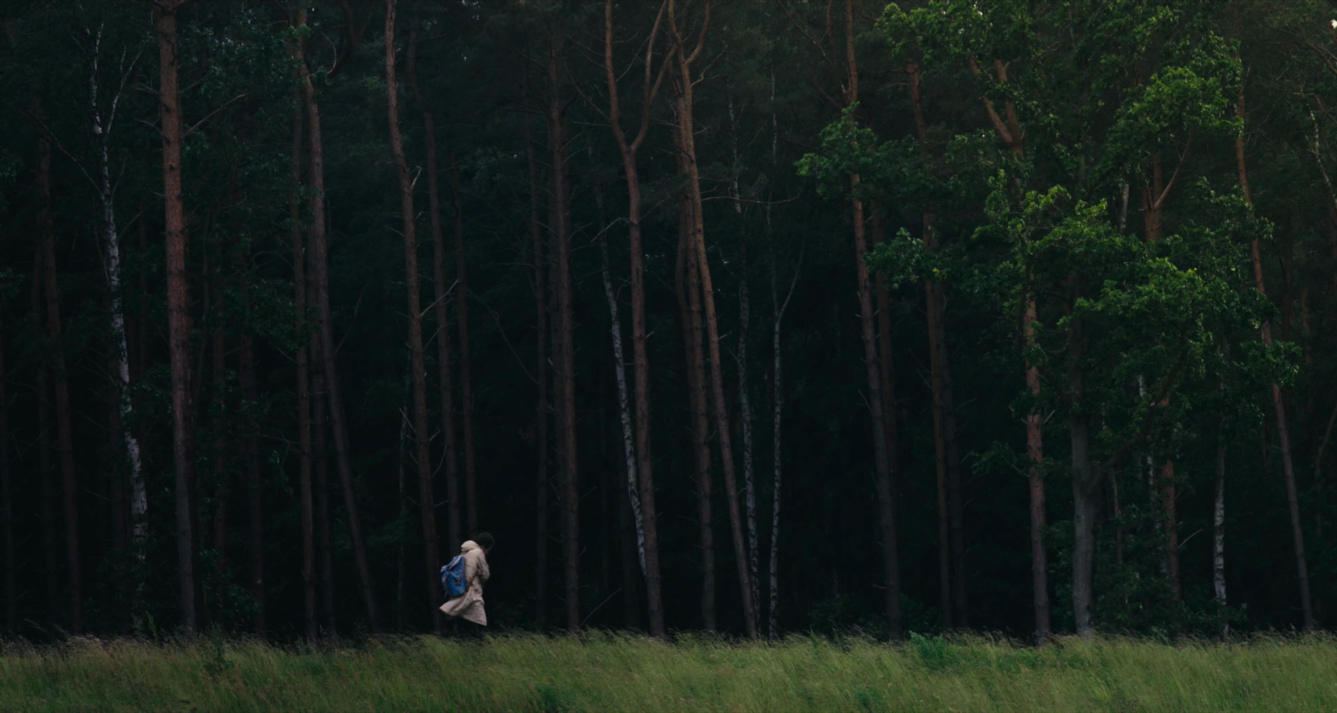 Still_Wanderer_01©wirFILM:Campean.jpg