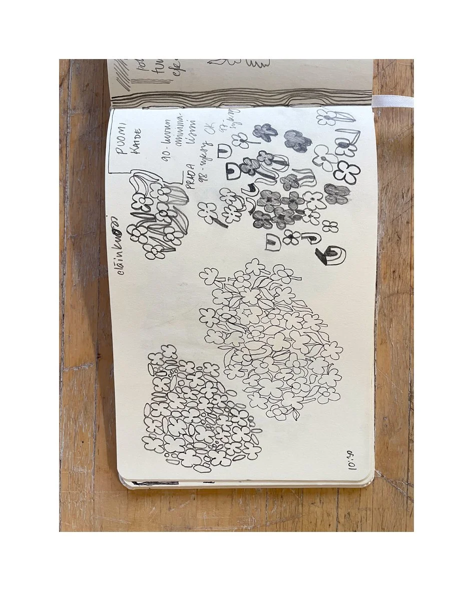    Starting point for the KRASSI pattern.   