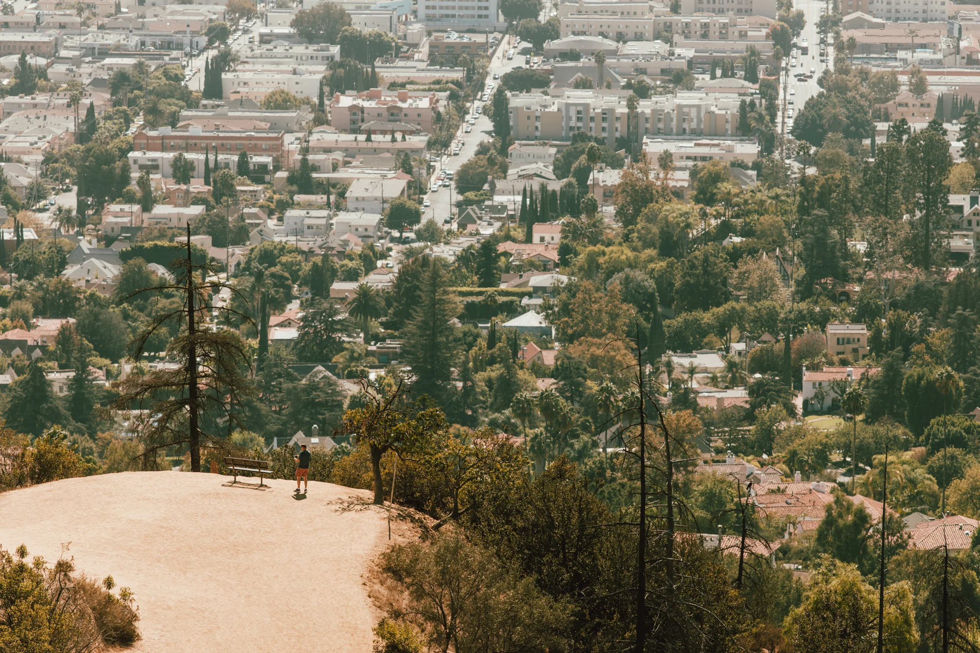 LA - Copyright Toby Mitchell (3 of 6).jpg