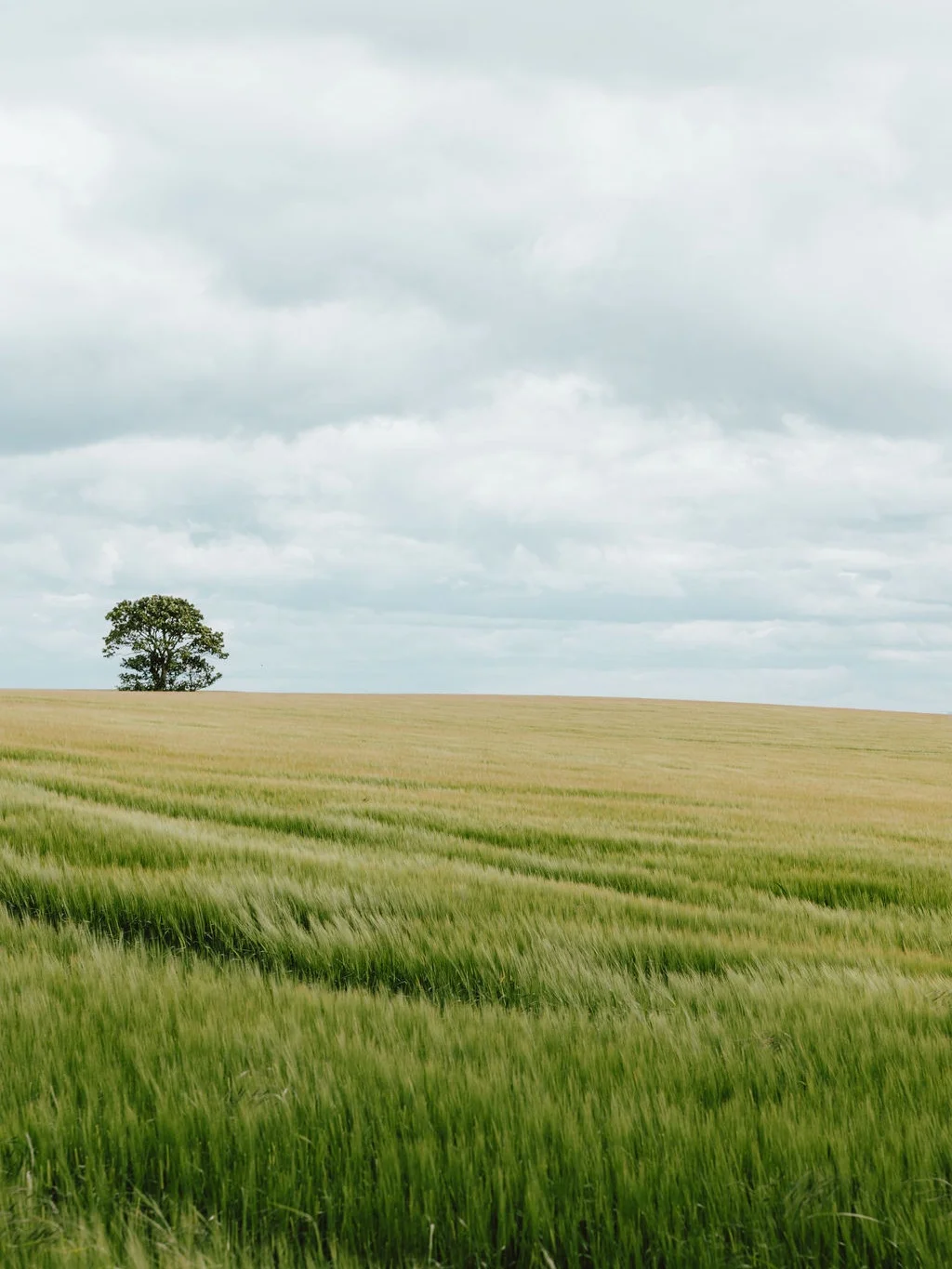 Clos19xGlenmorangieJuly2019%283of145%29.jpg