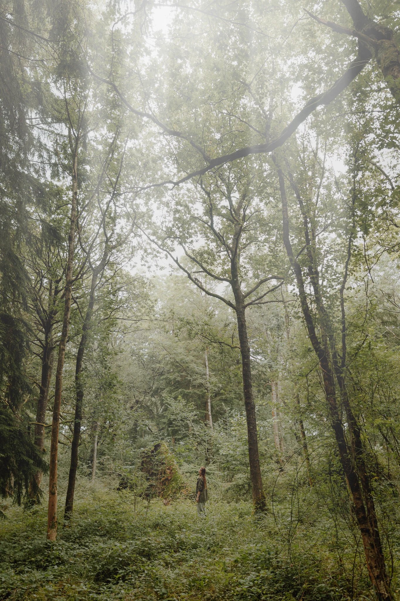 42 Acres