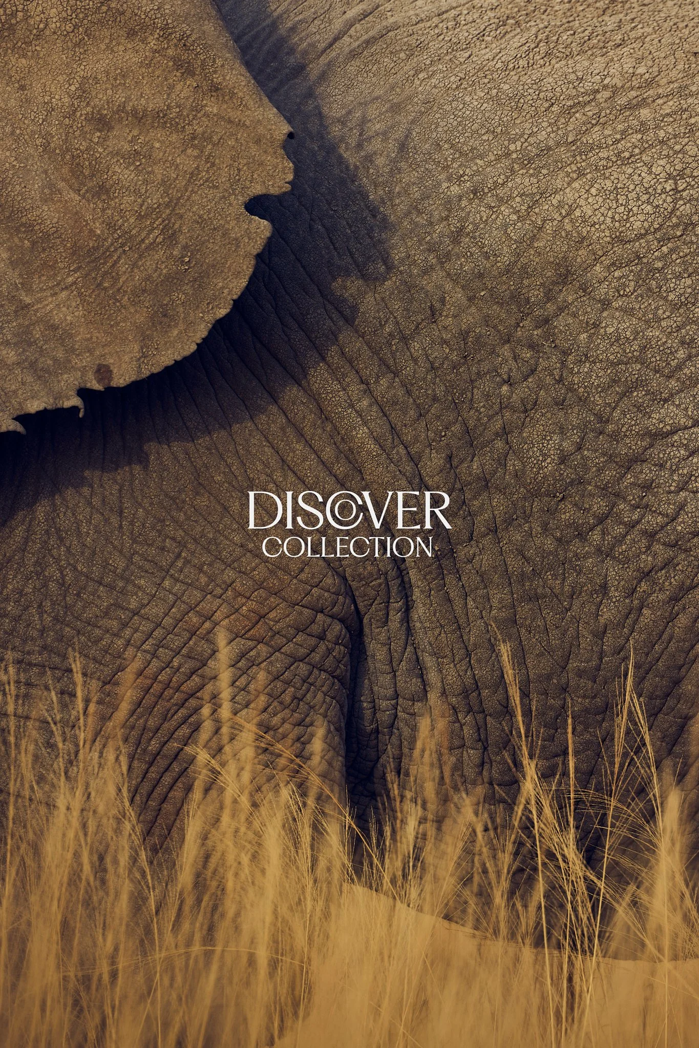 TobyMitchell_DiscoverCollection_Elephant.jpg