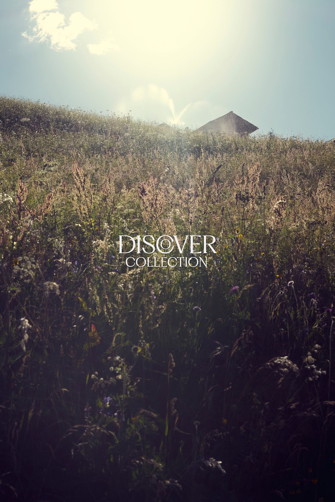 TobyMitchell_DiscoverCollection_Harvest.jpg