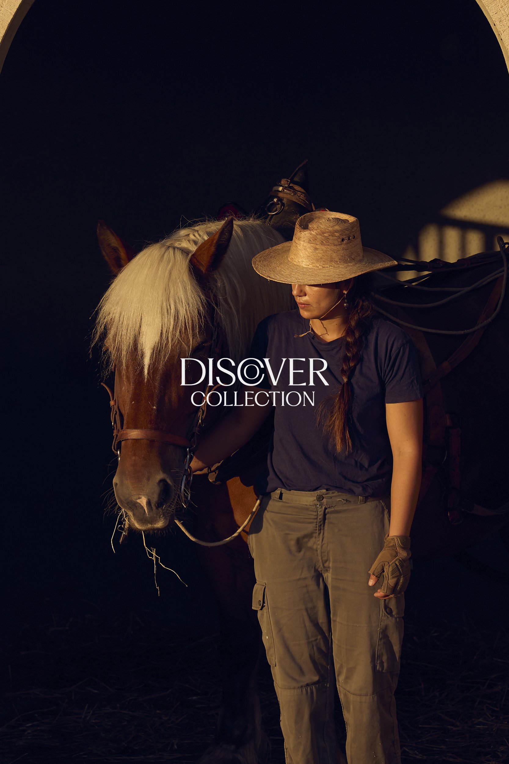TobyMitchell_DiscoverCollection_Horse.jpg