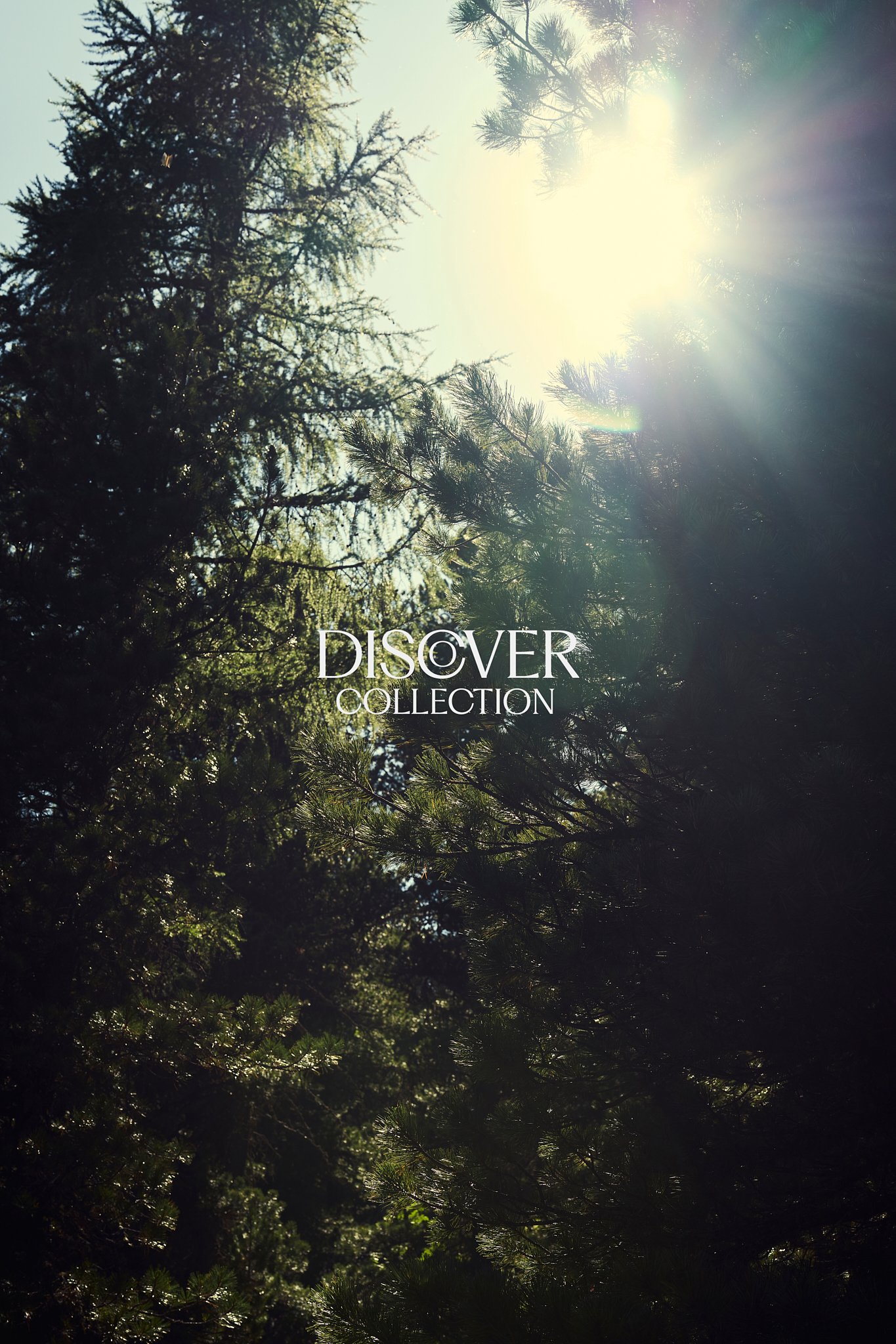 TobyMitchell_DiscoverCollection_Wonder.jpg