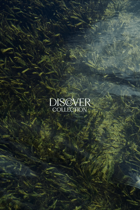 Discover Collection