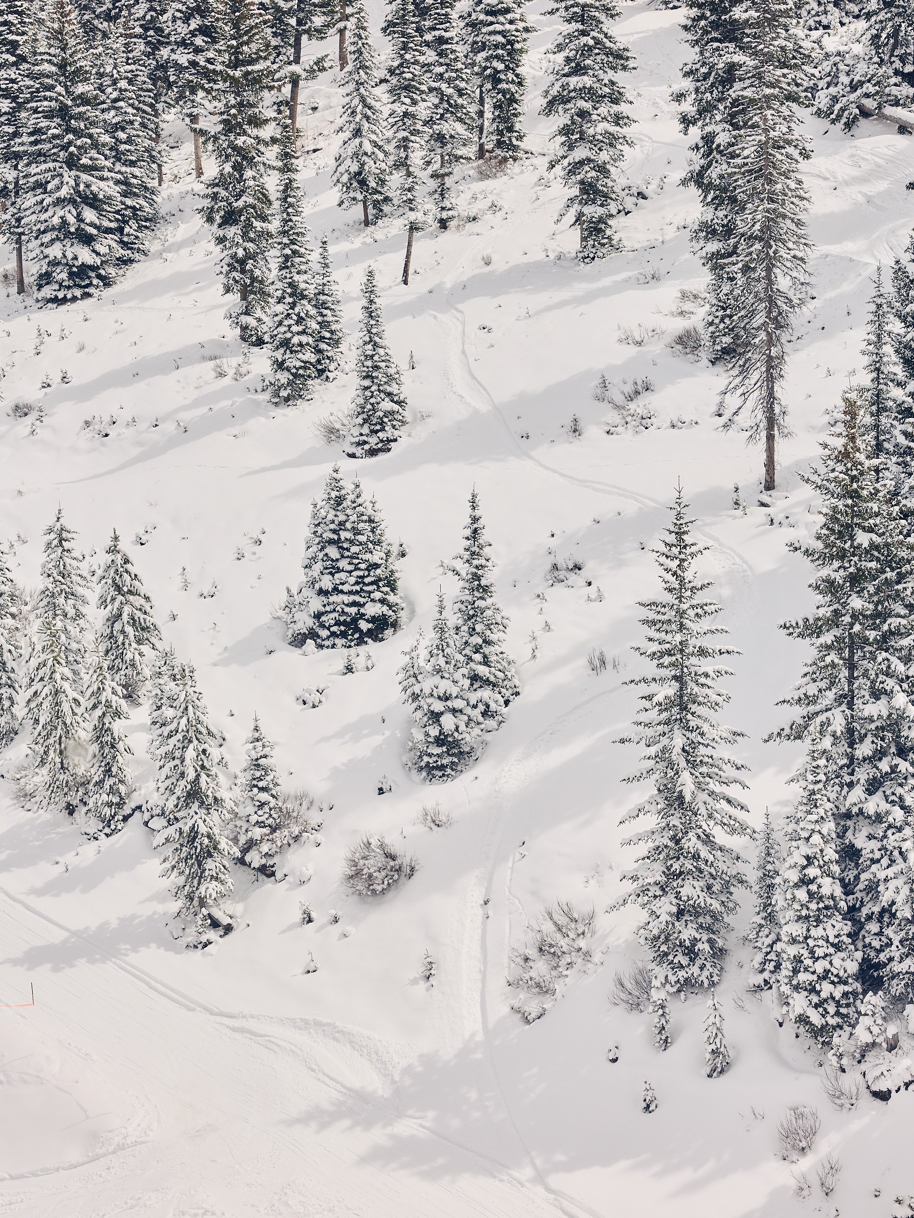 TobyMitchell2026_BigSkyResort_5.jpg