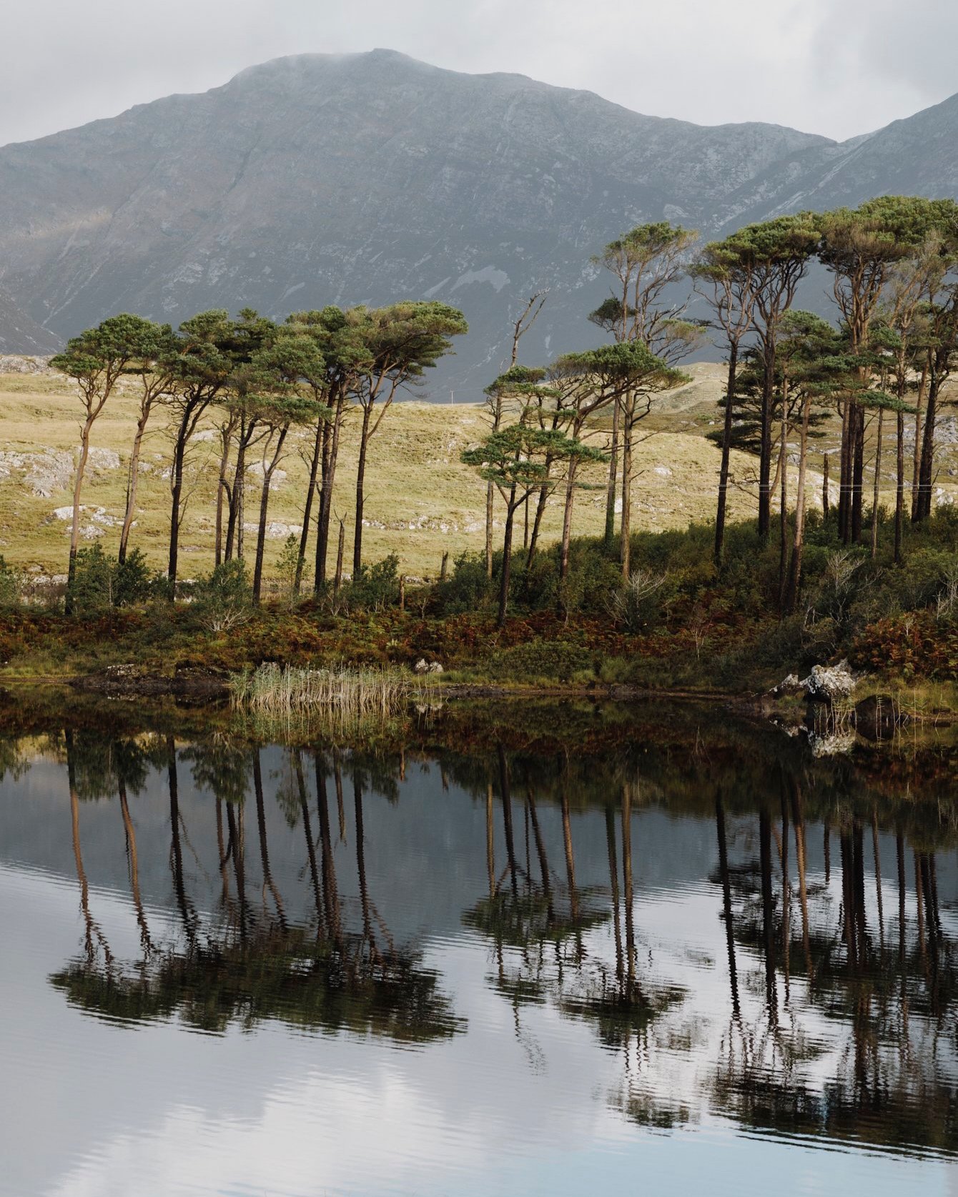 Conde Nast Traveller - Connemara