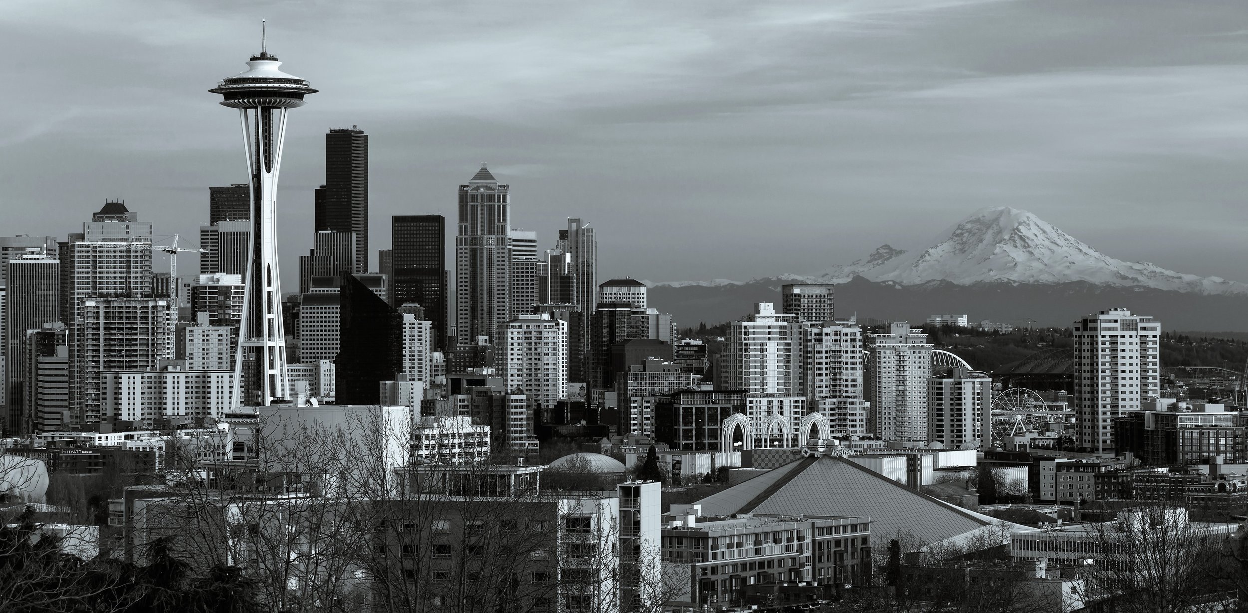 Website Image.jpg
