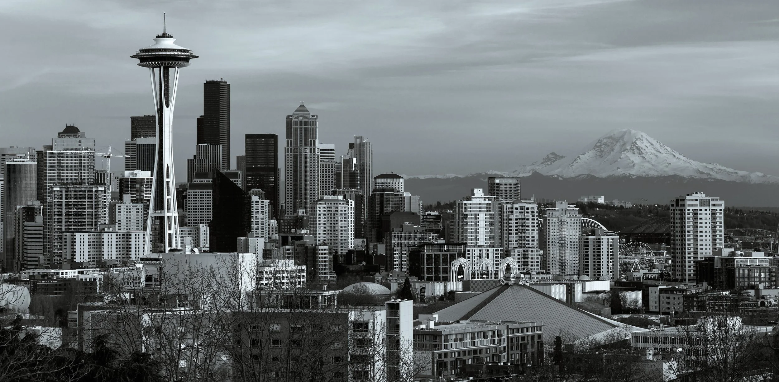 Website Image.jpg