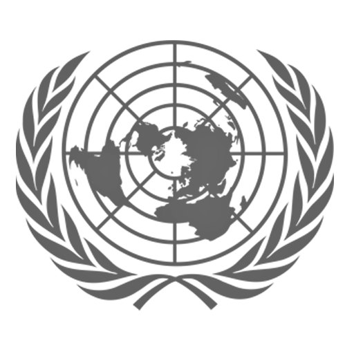 cropped-UN-Logo-Square.png