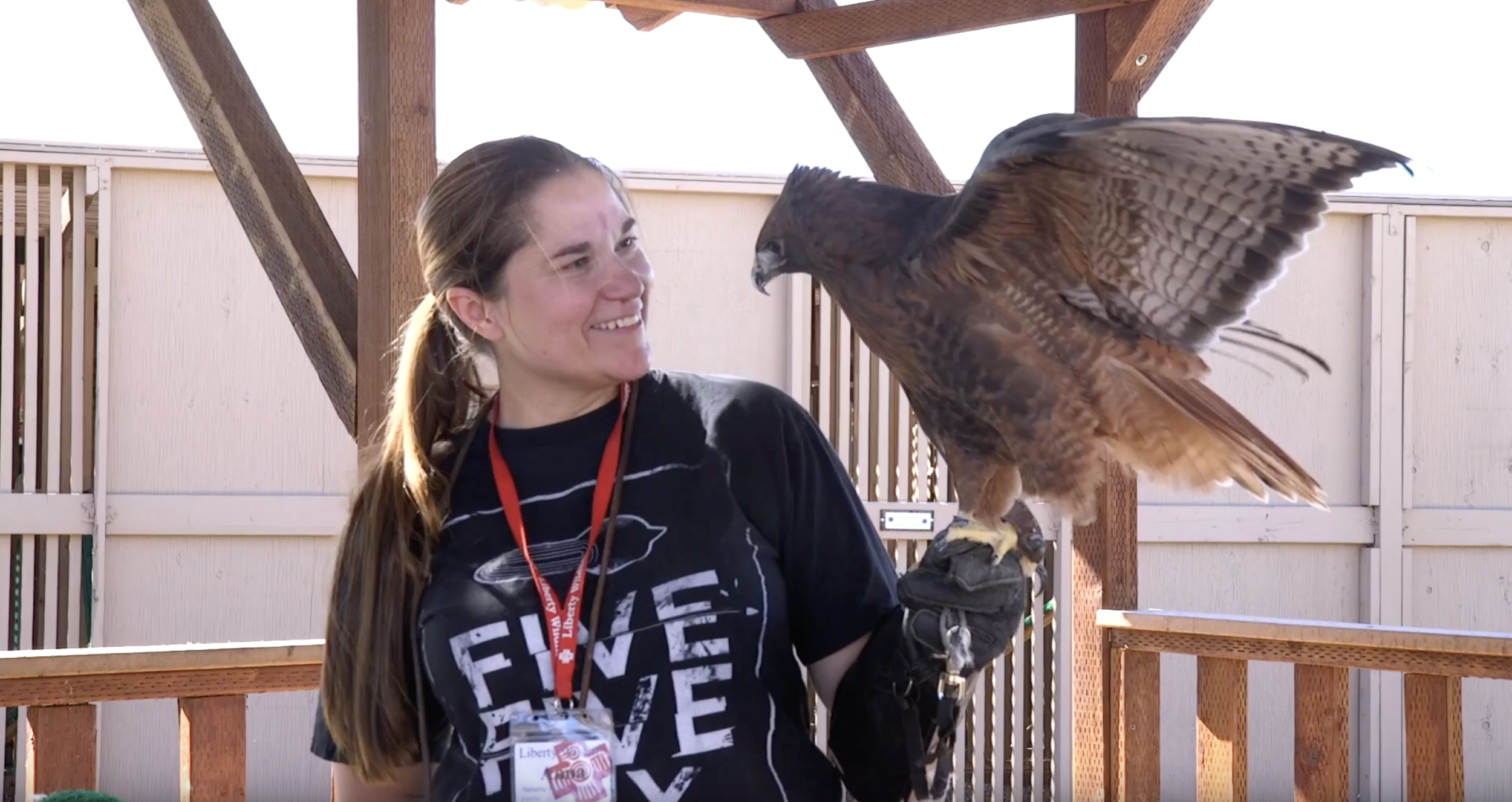 Solve It: Wildlife Rescue