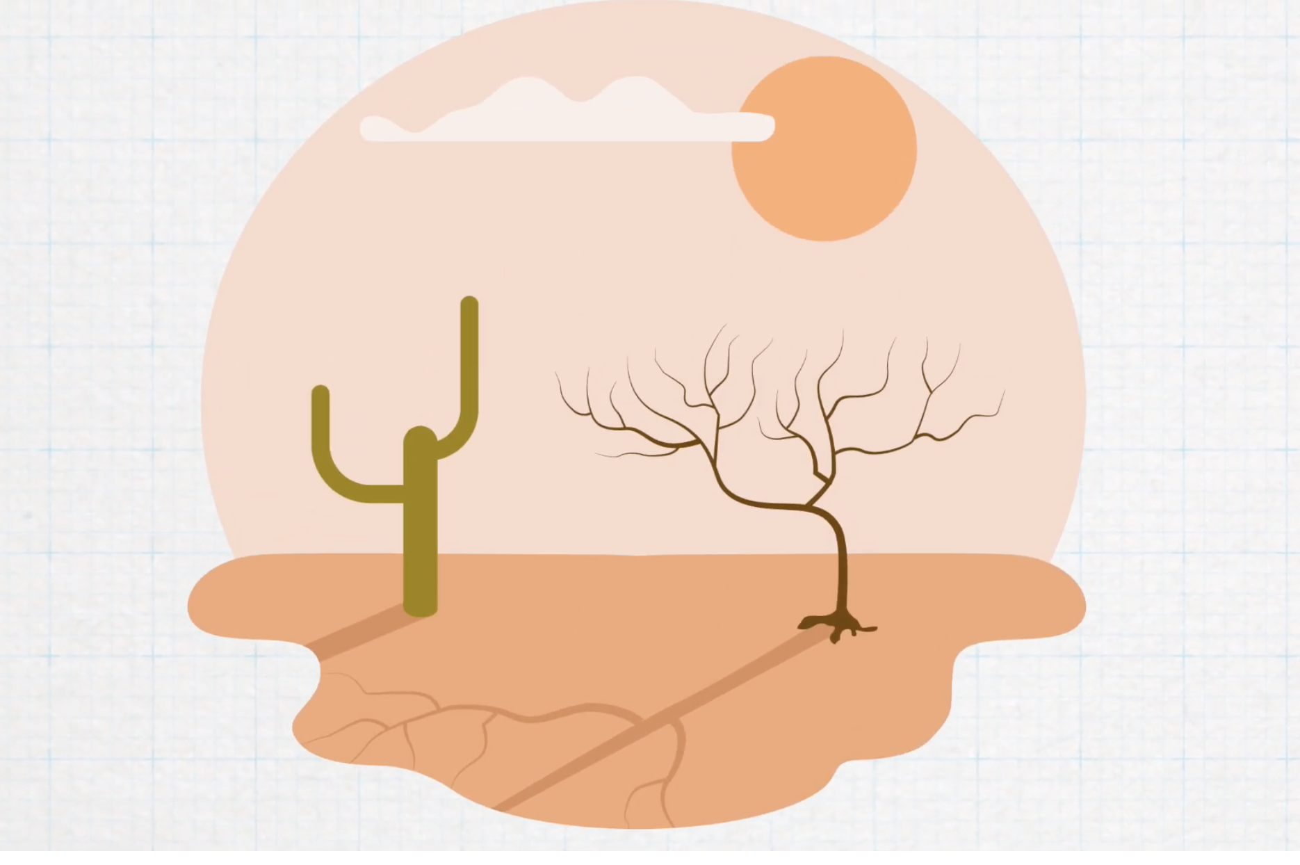 Solve It:  Drought and Water Conservation