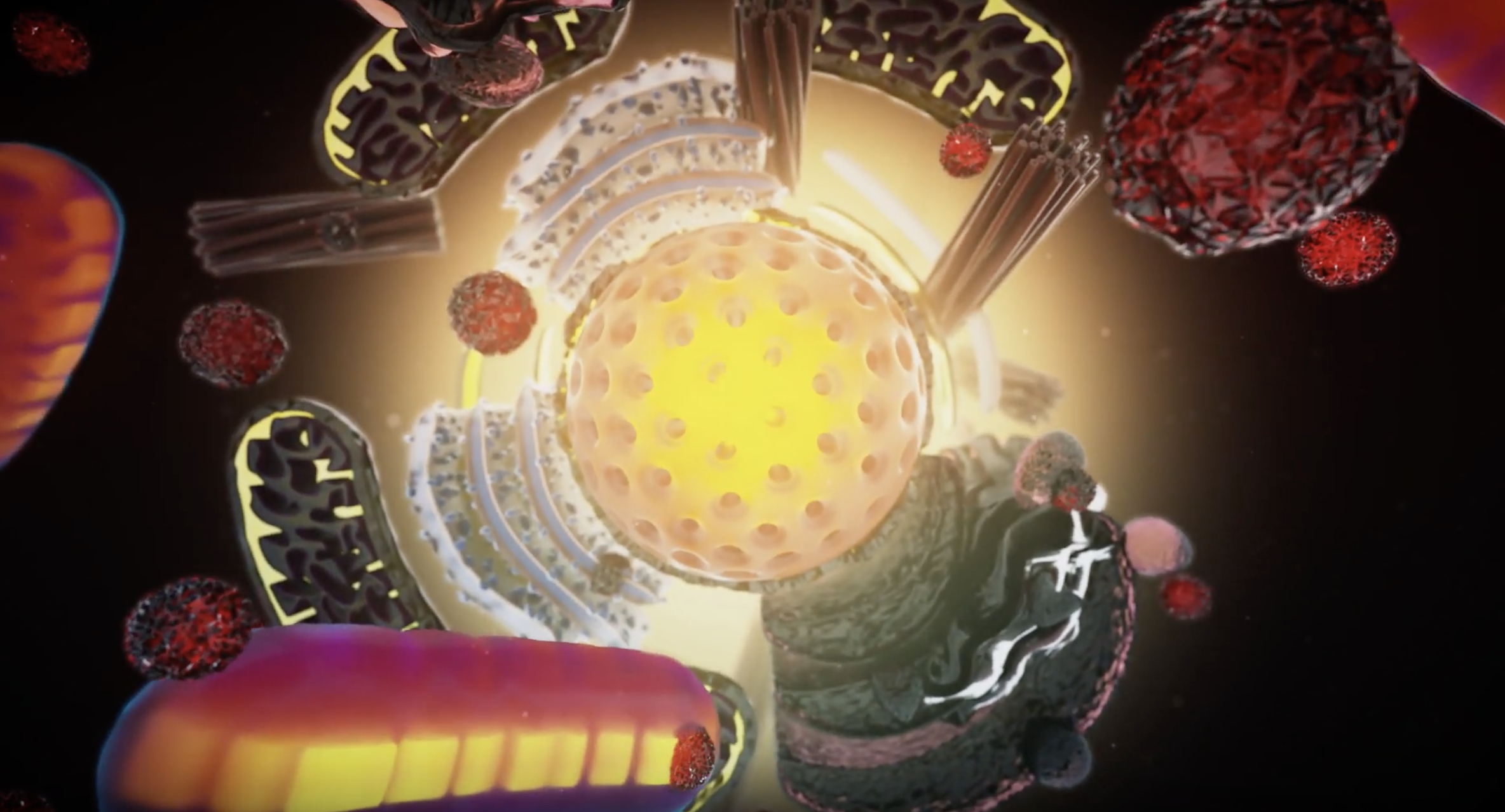 Solve It:  Spreading Germs and Disease