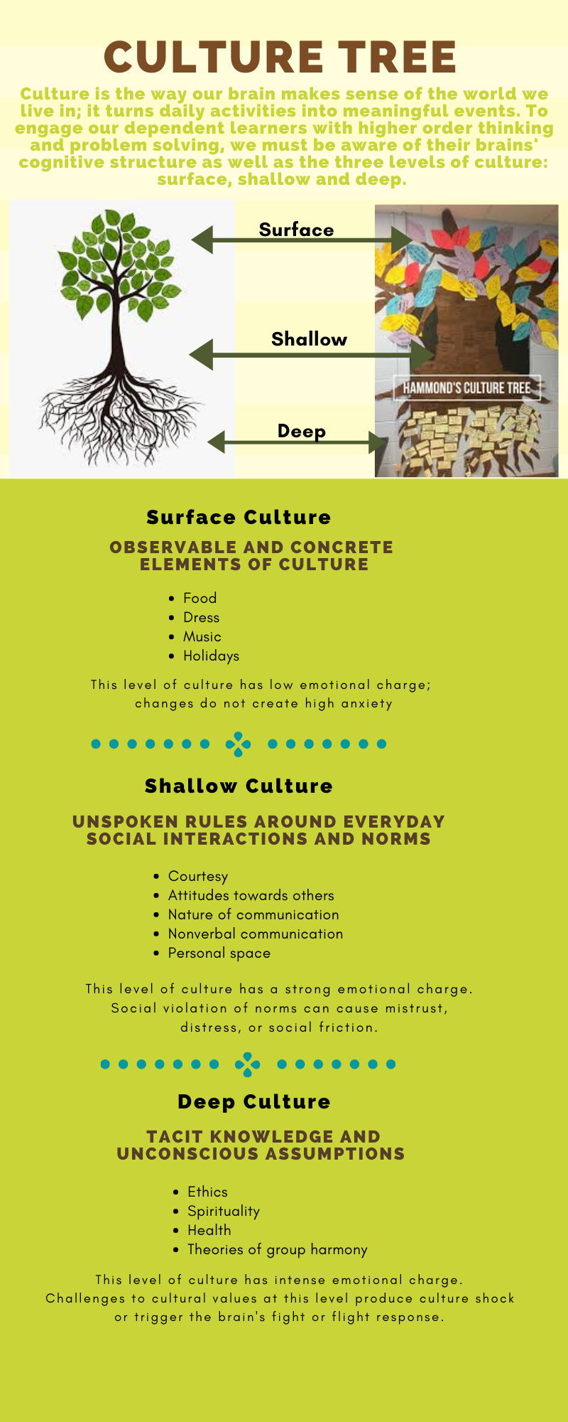 culturally responsive teaching and the brain culturally responsive teaching and the brain