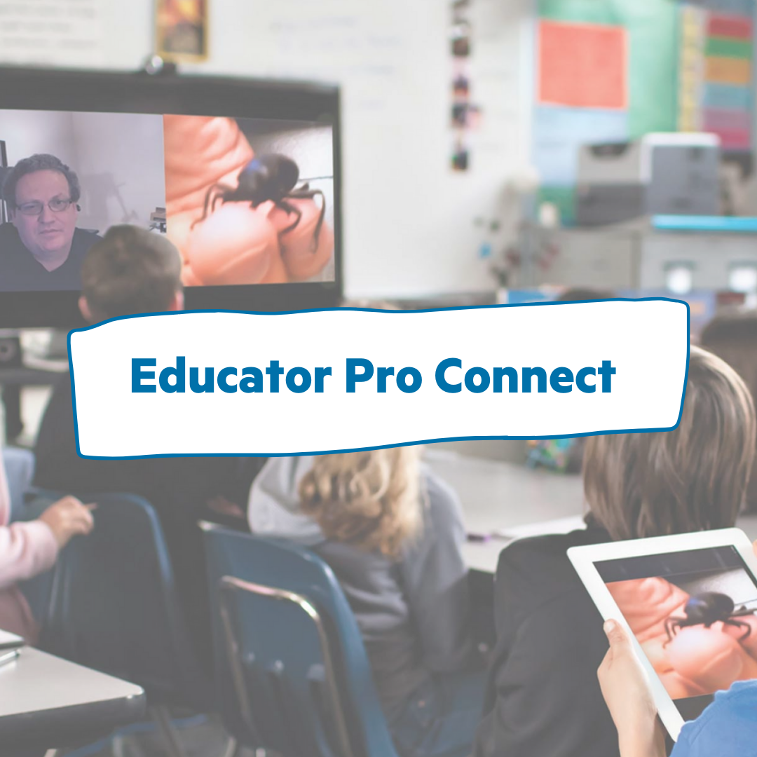 Educator_Pro_Connect_IG.png