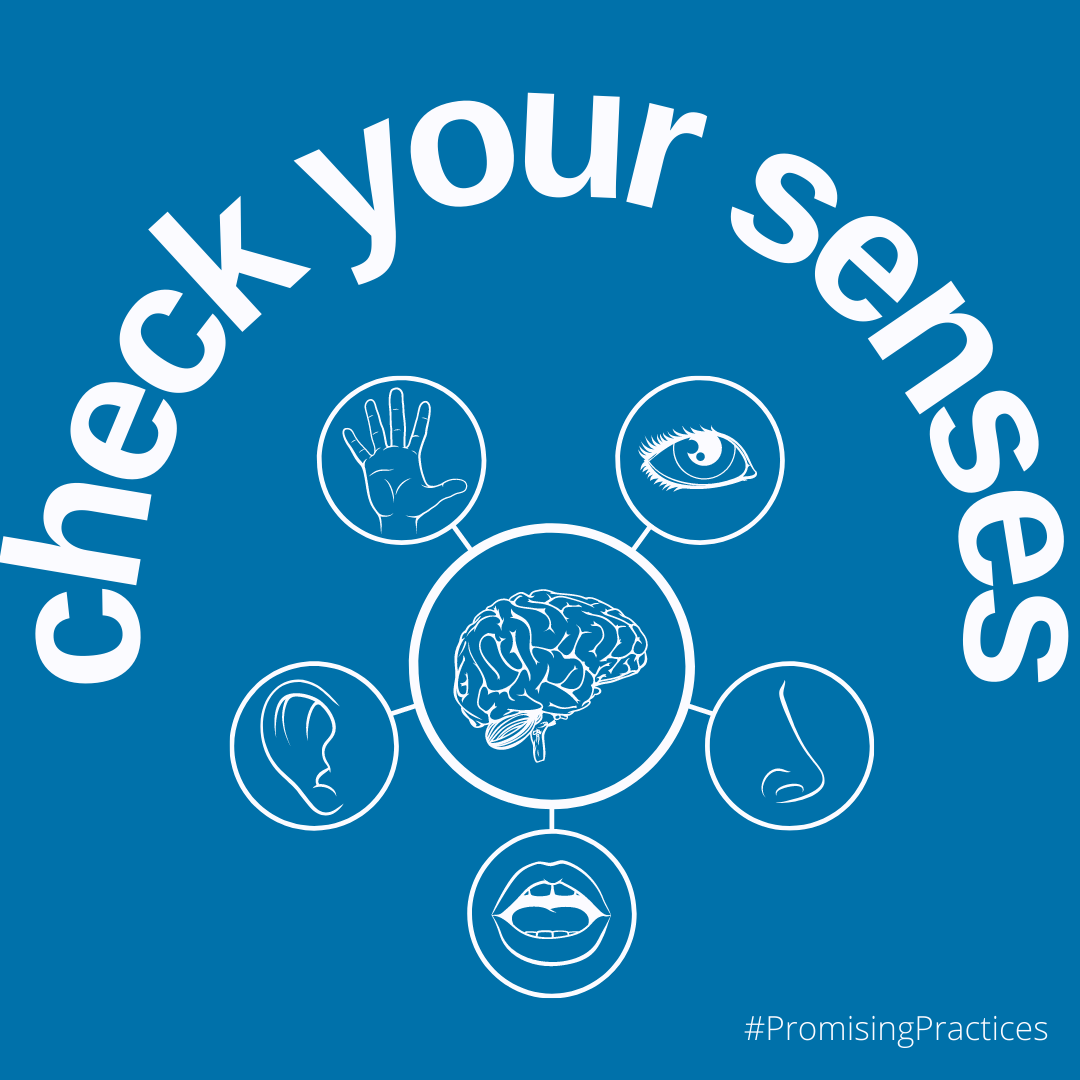 check your senses PP for IG.png