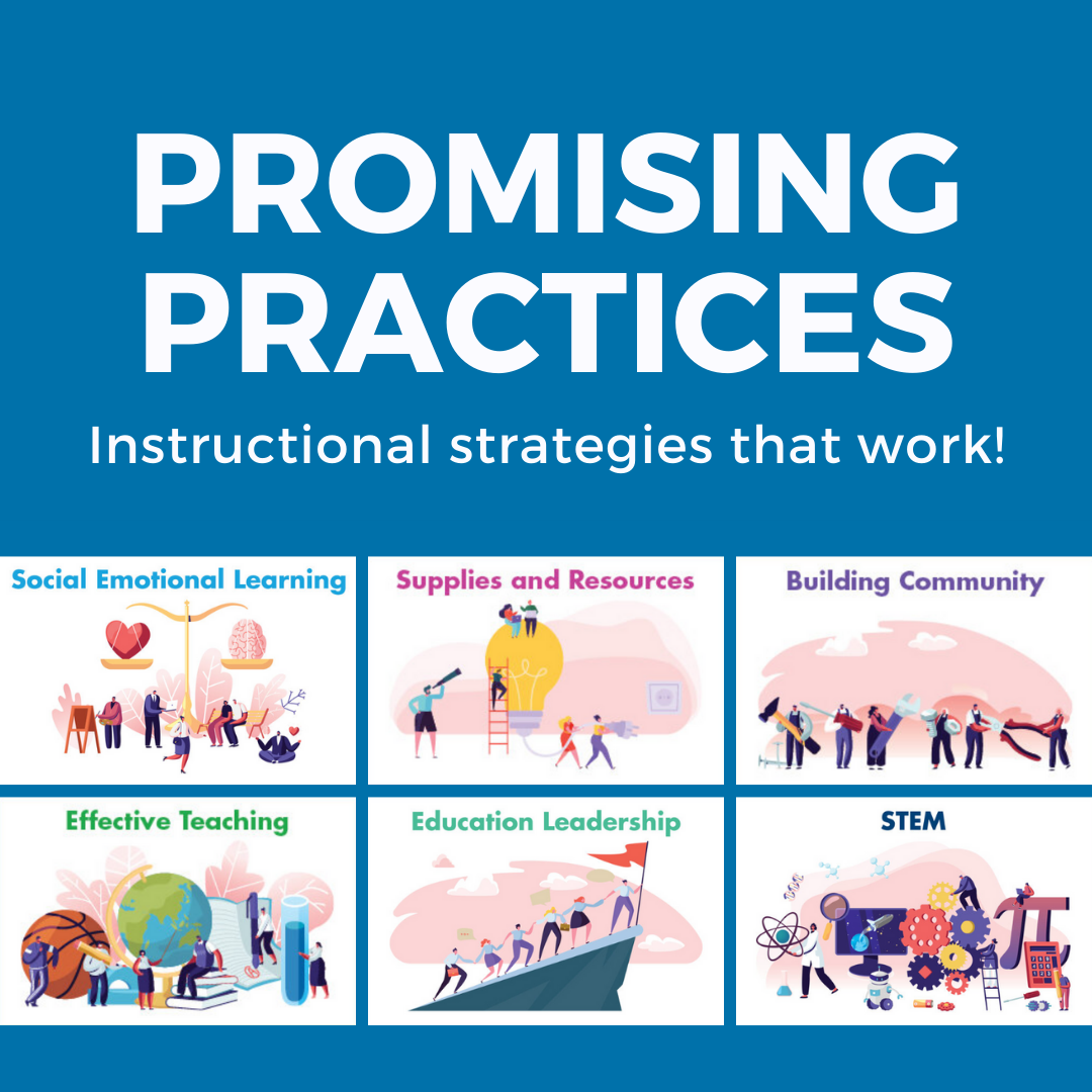 Promising Practices IG.png