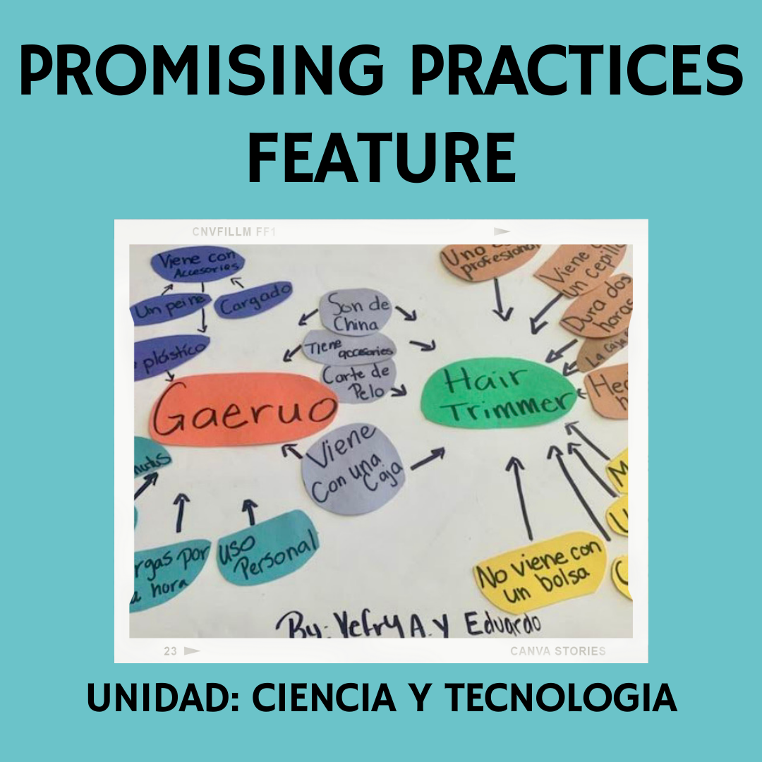 promising practices feature STEM IG.png