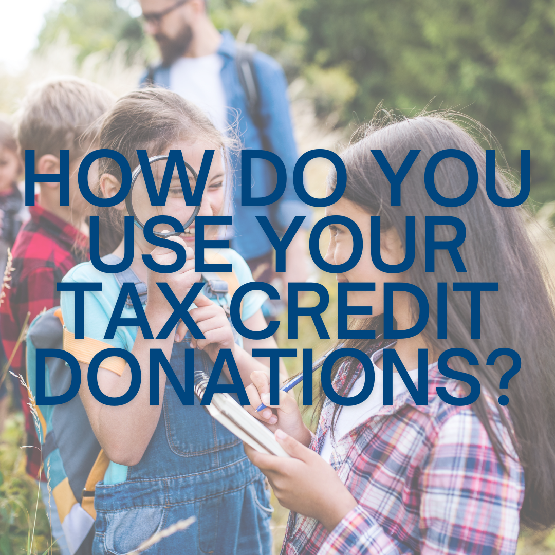 how do you use your tax credit.png