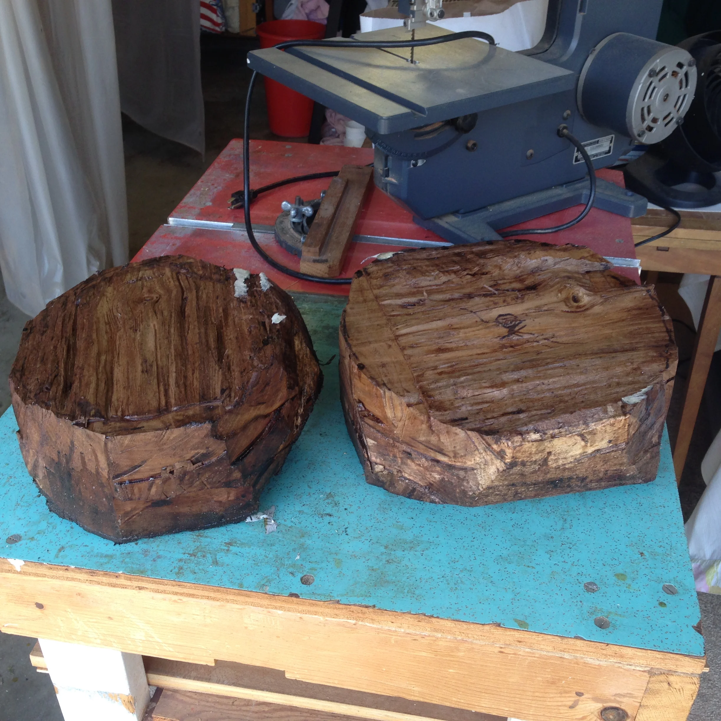  Two Walnut tree sections; ready for turning on lathe. 