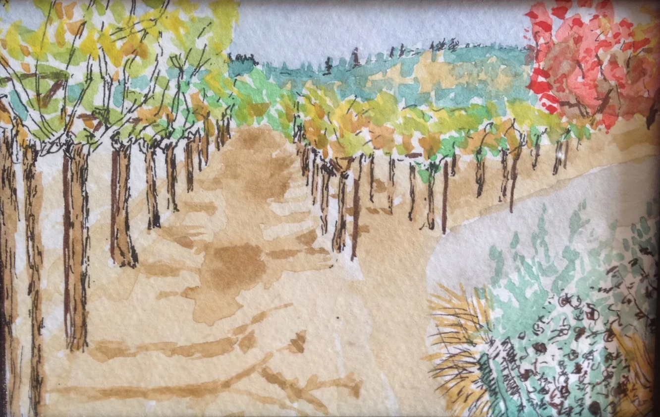 Napa Vineyard, California - Watercolor, 4X6" 