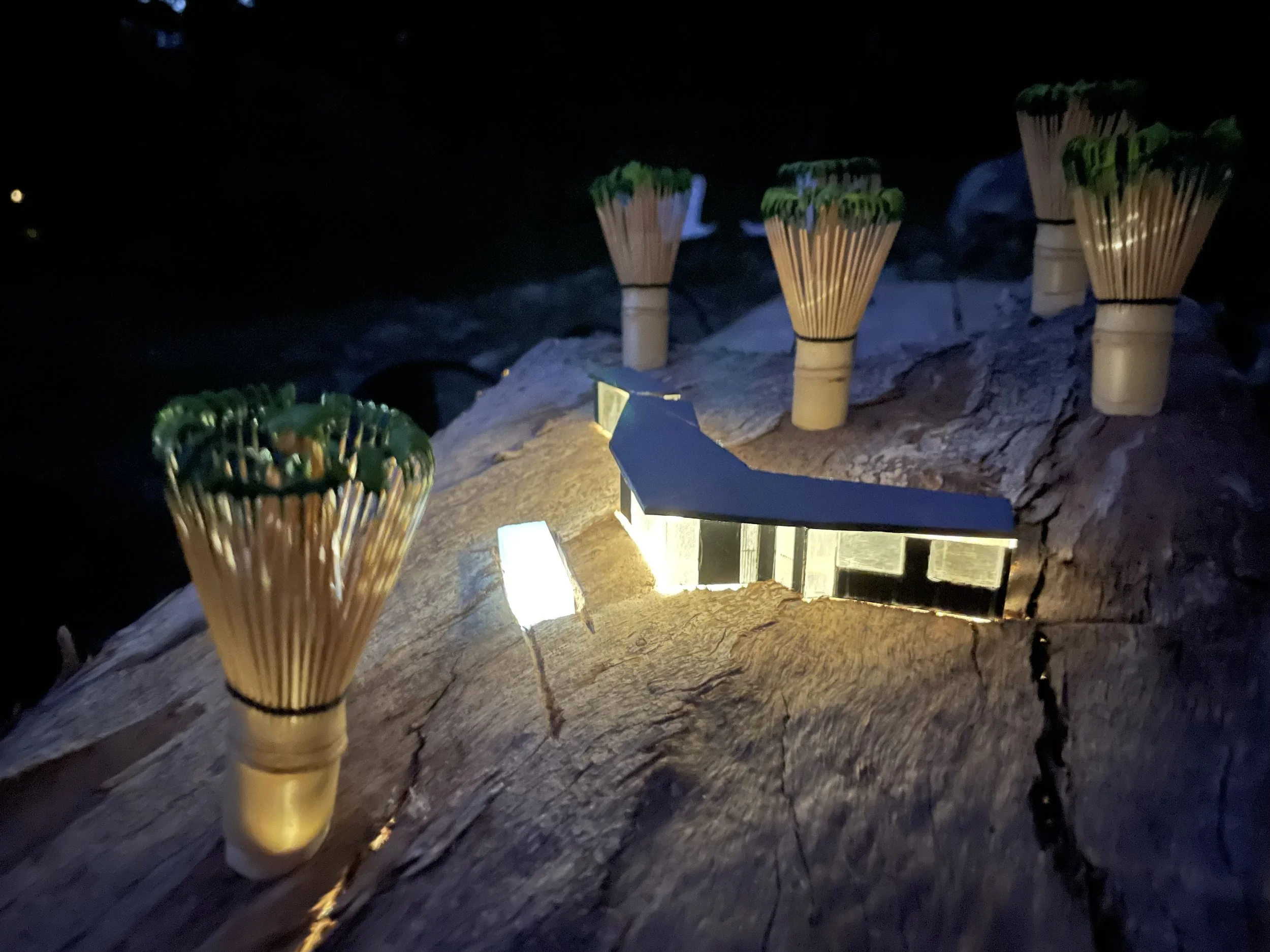 805_site model2.jpeg