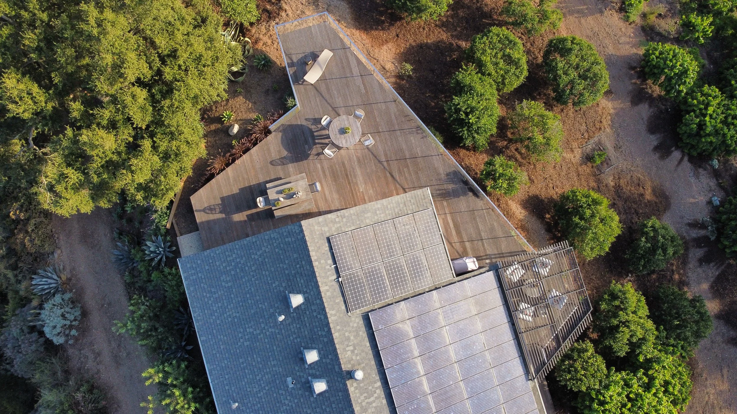 Photo: Indigo Caleel