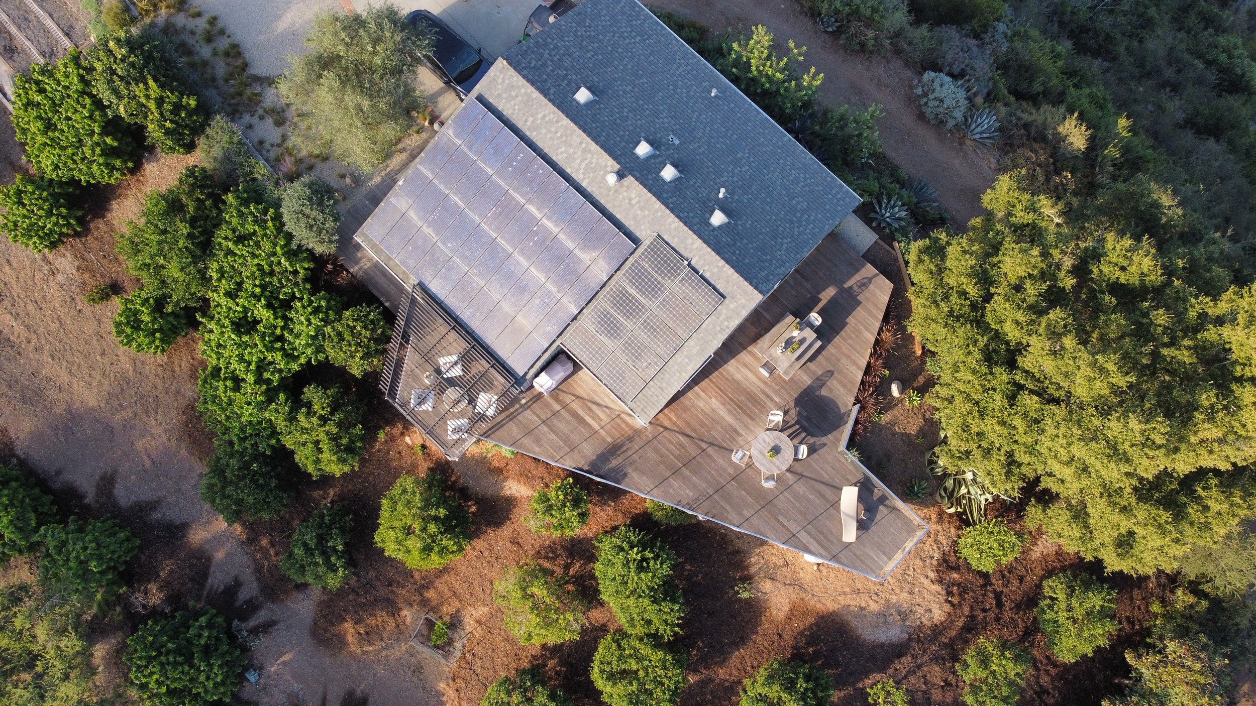 Photo: Indigo Caleel