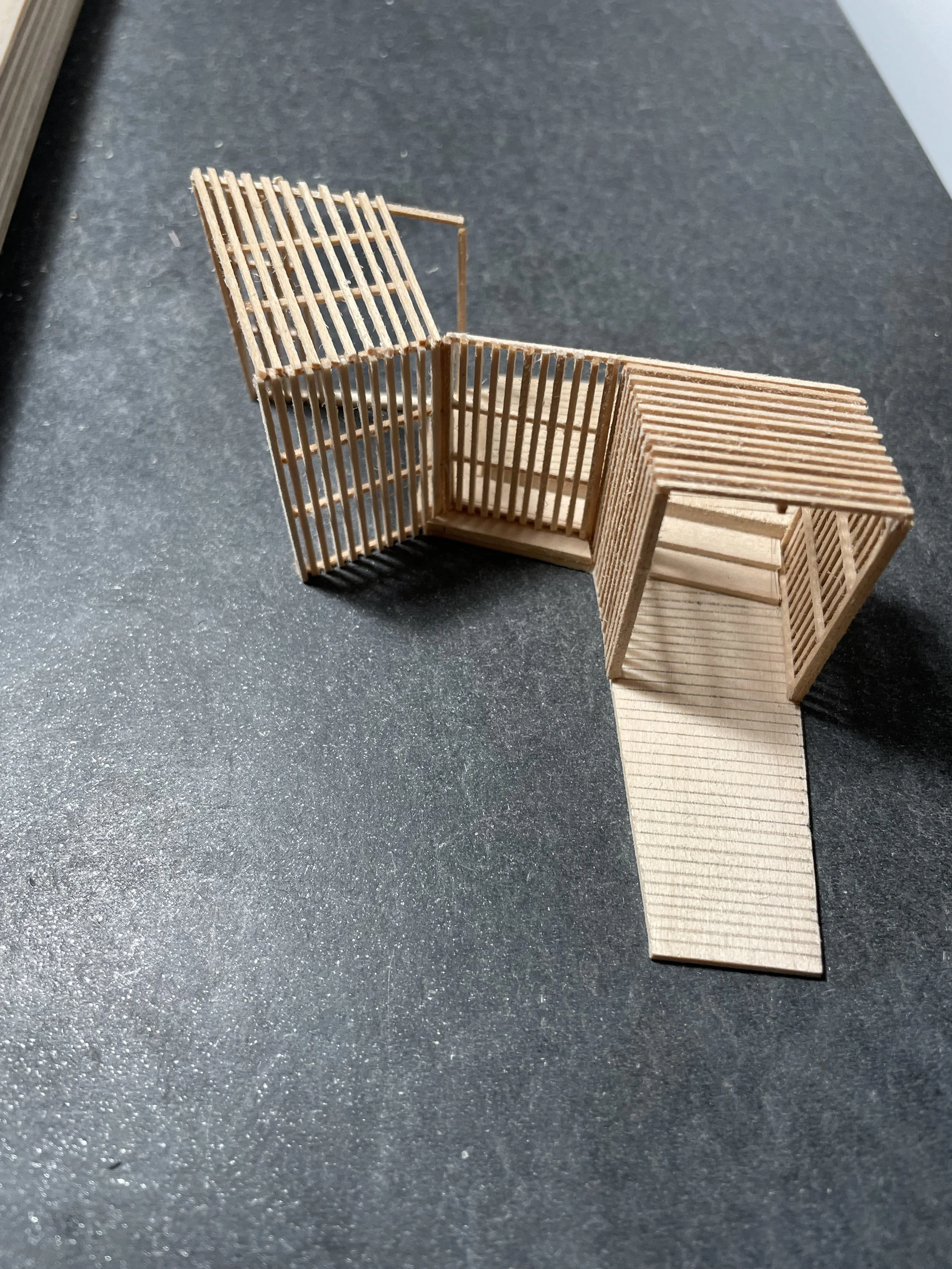 CALLE ENTRY TRELLIS.jpeg