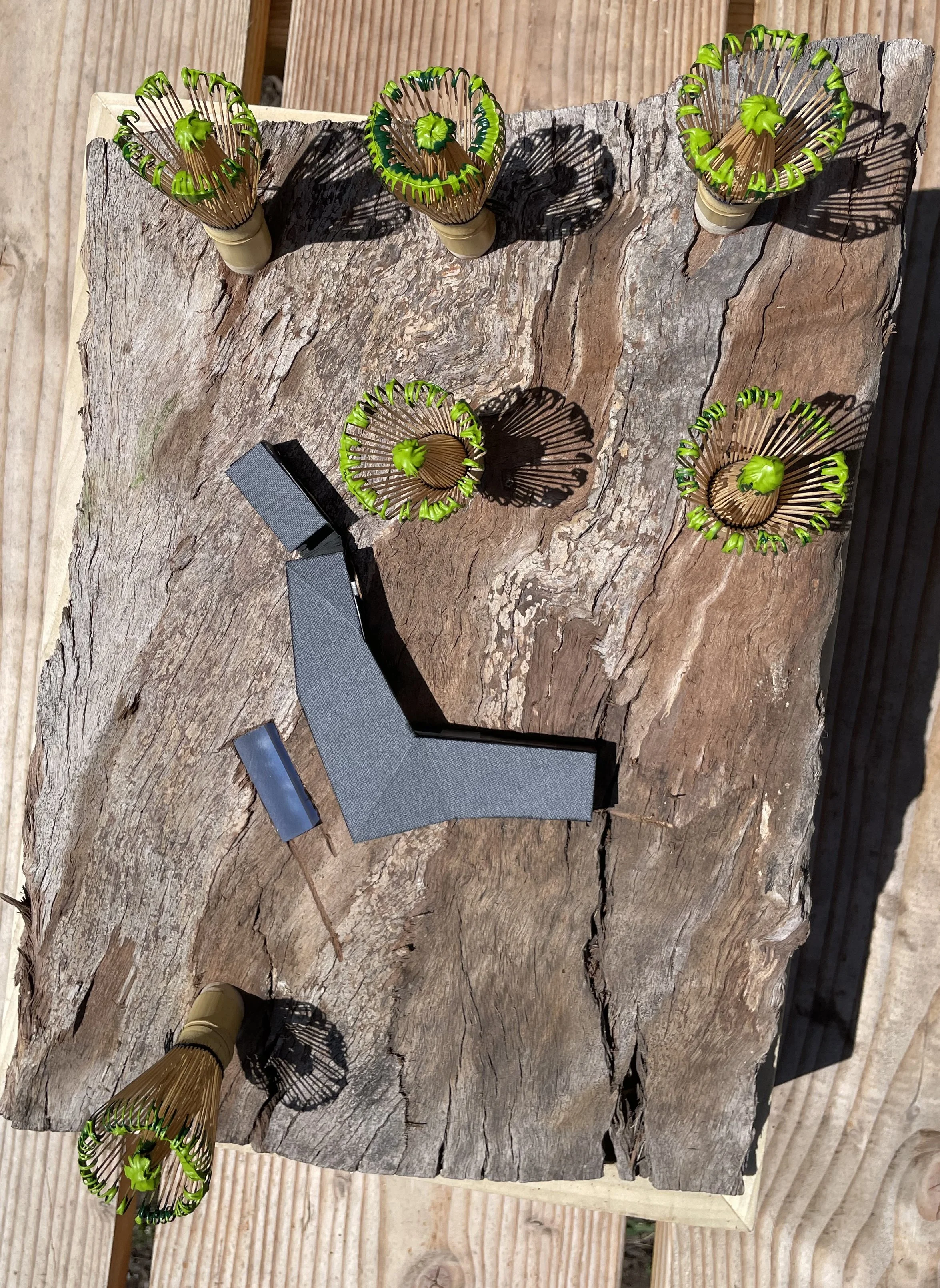 805_site model1.jpg