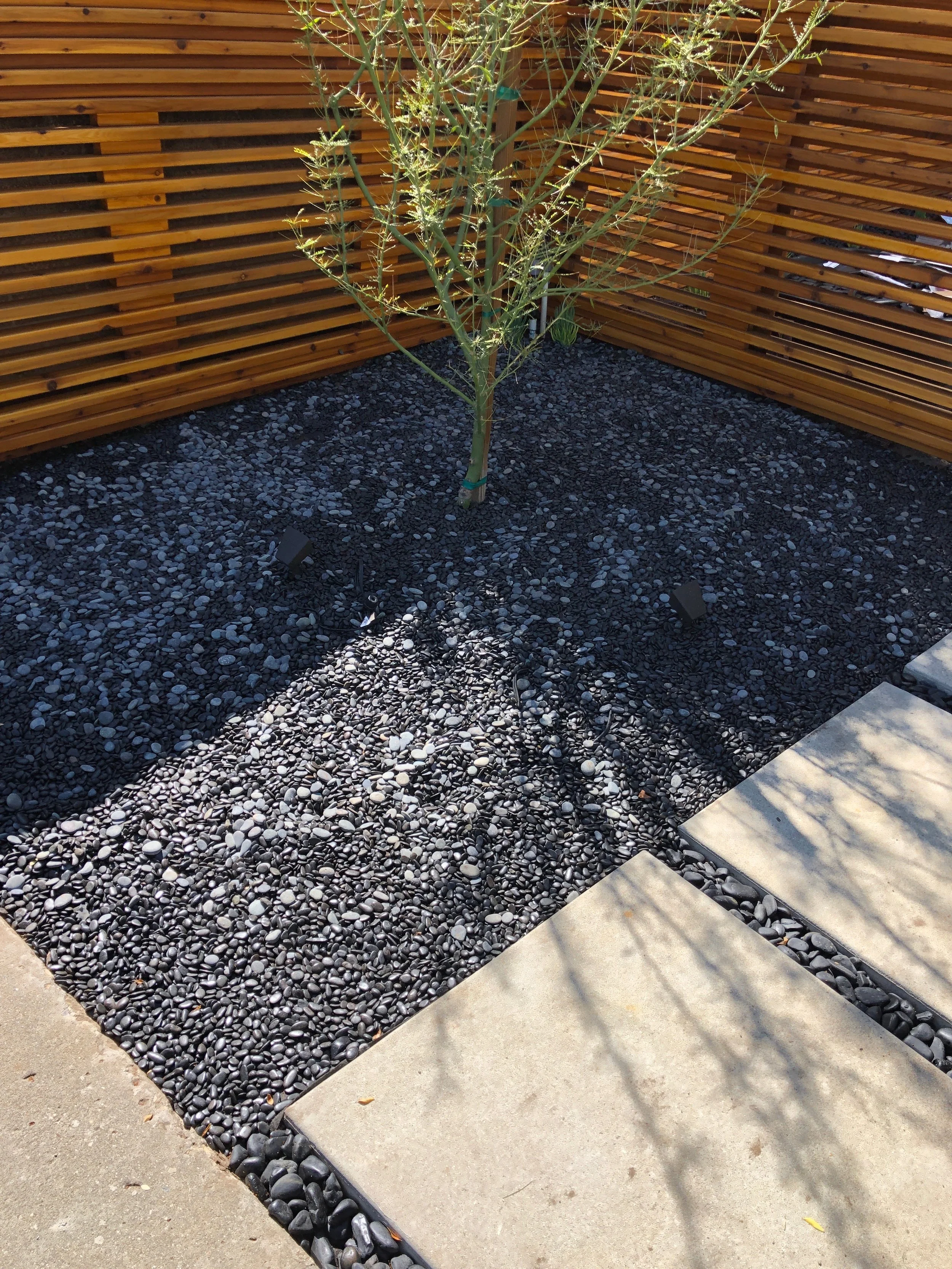 61550980848__78C36A77-D471-4E56-B916-0645F4AA5C0F copy.jpeg