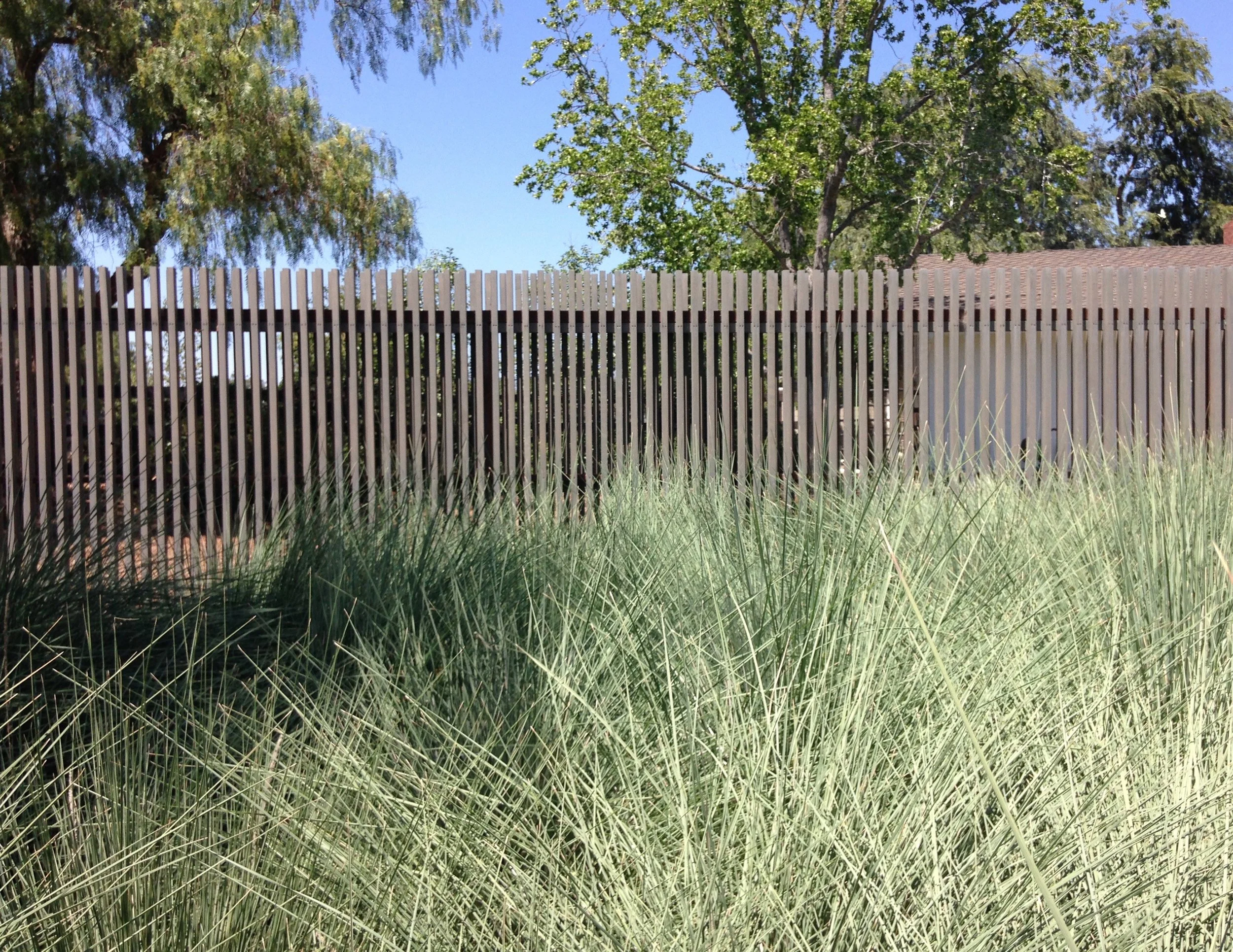 fence grass crop copy.jpg